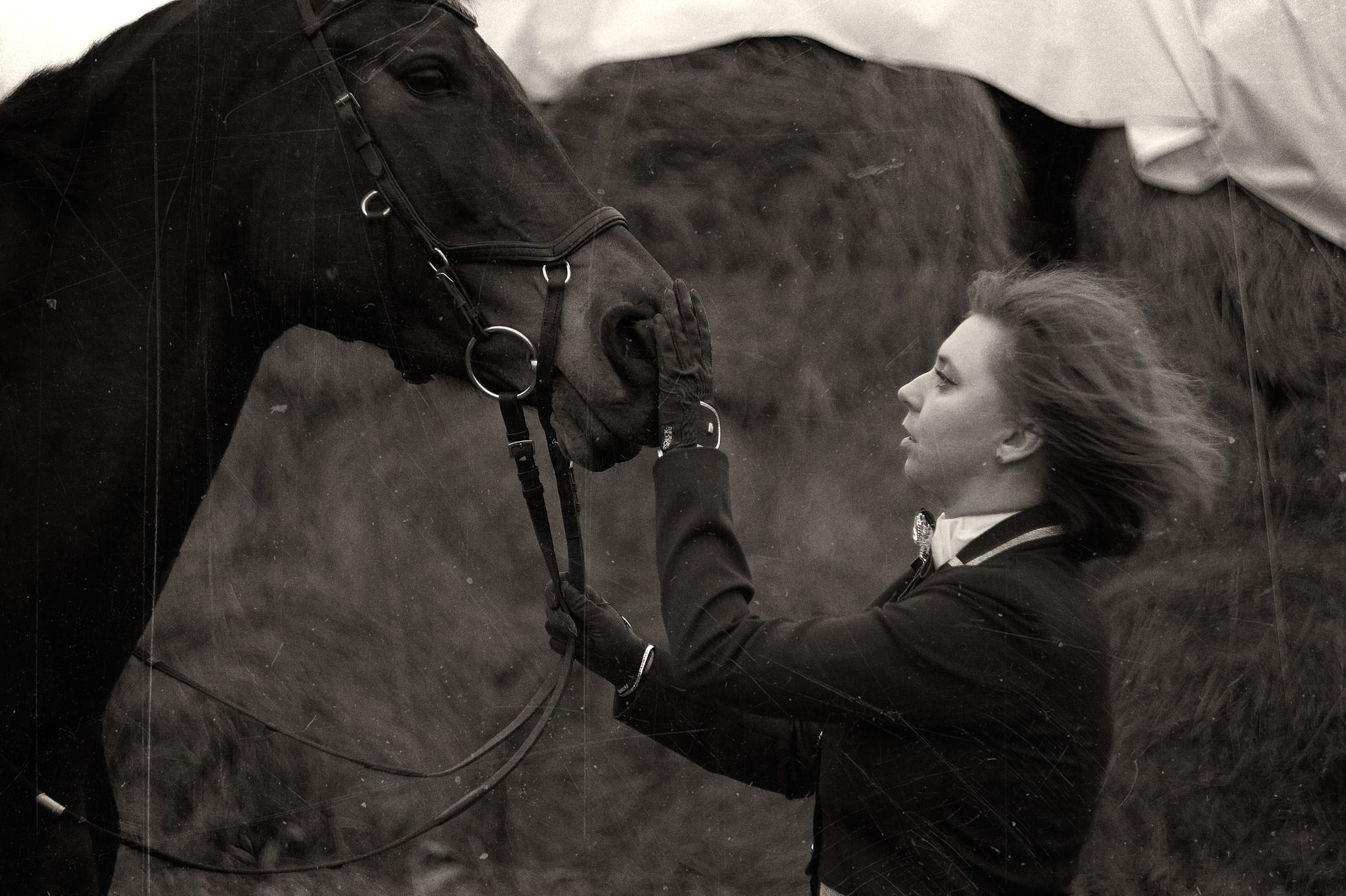 Портретный и конный фотограф в Санкт-Петербурге — Сергей Крылов