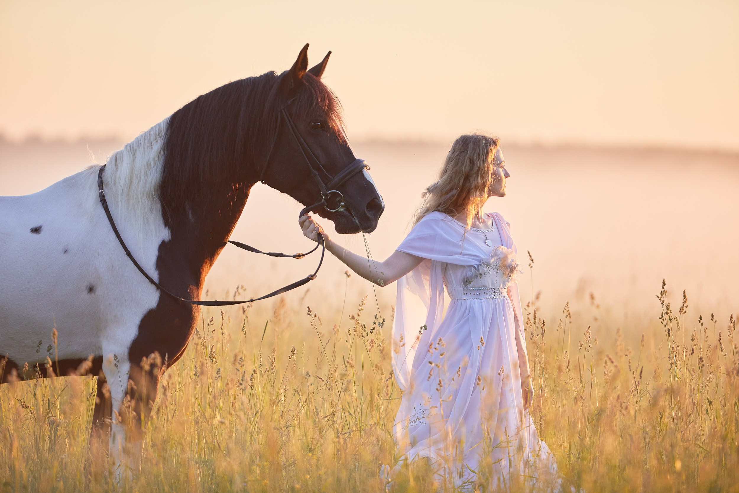 Фотопроекты и съемки на природе, с лошадьми, самолетами и авто. Выездная фотосессия. Фотограф, фотопроекты Михаила Семенова в Ярославле. Фотошкола