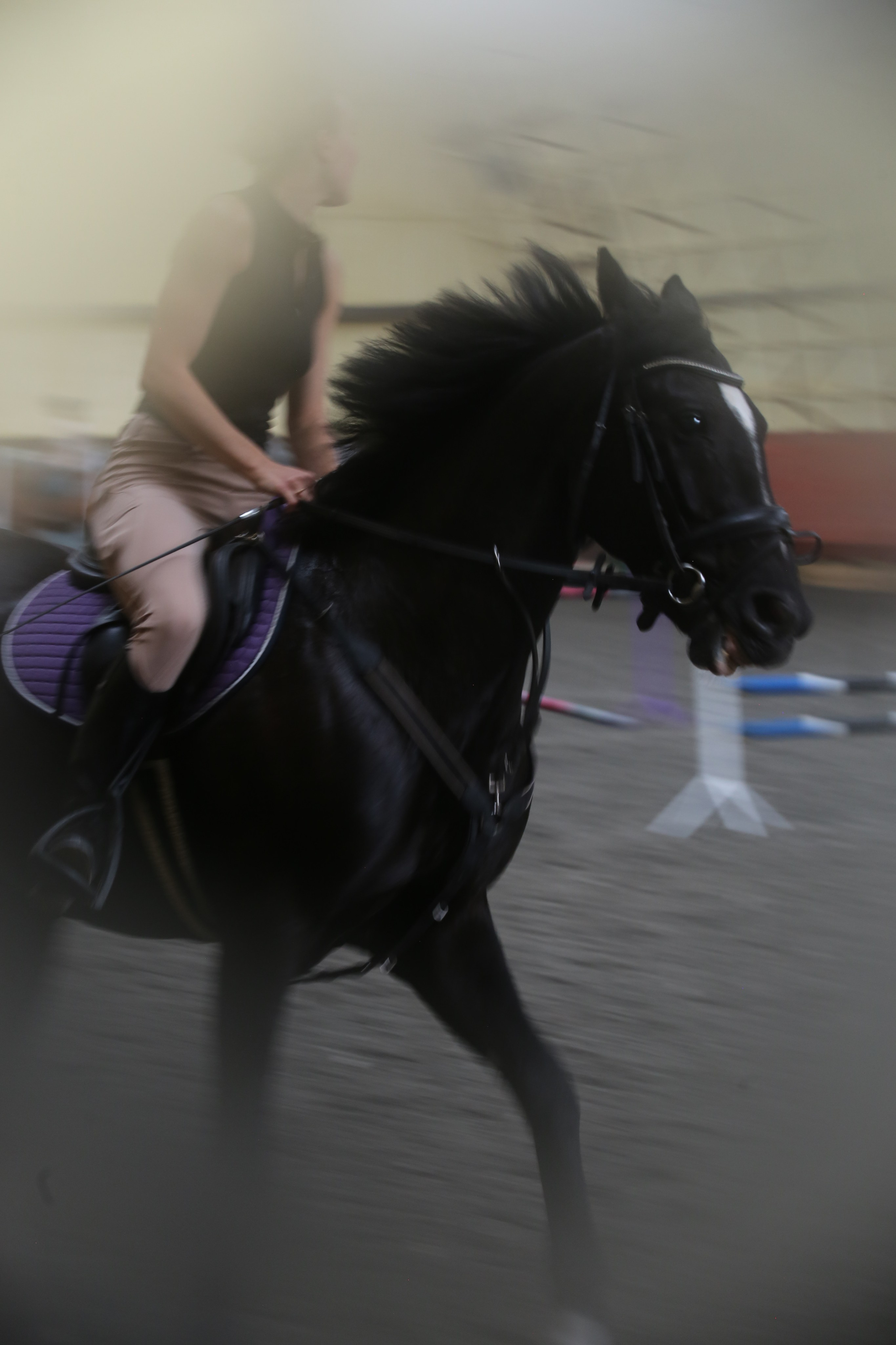 In a horse club NIMB. Фотограф Антонина Гудкова