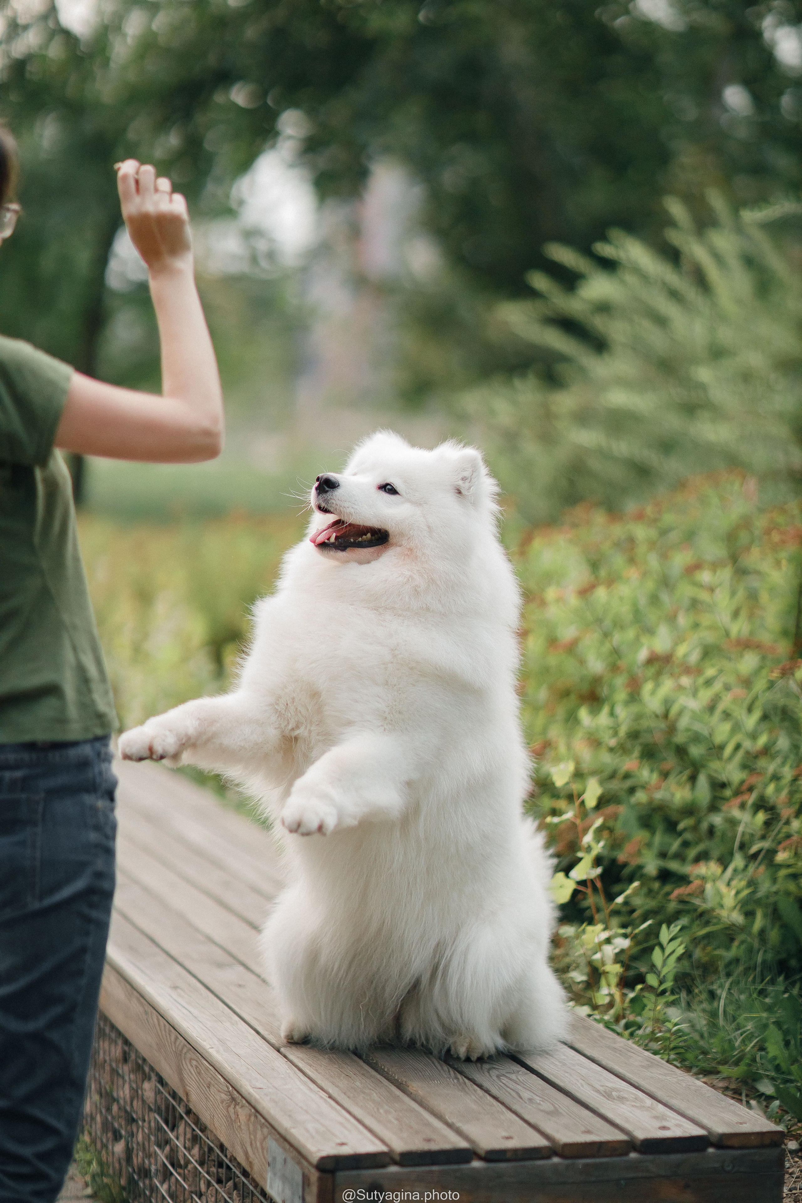 Самоед Рея. Свадебный и женский фотограф