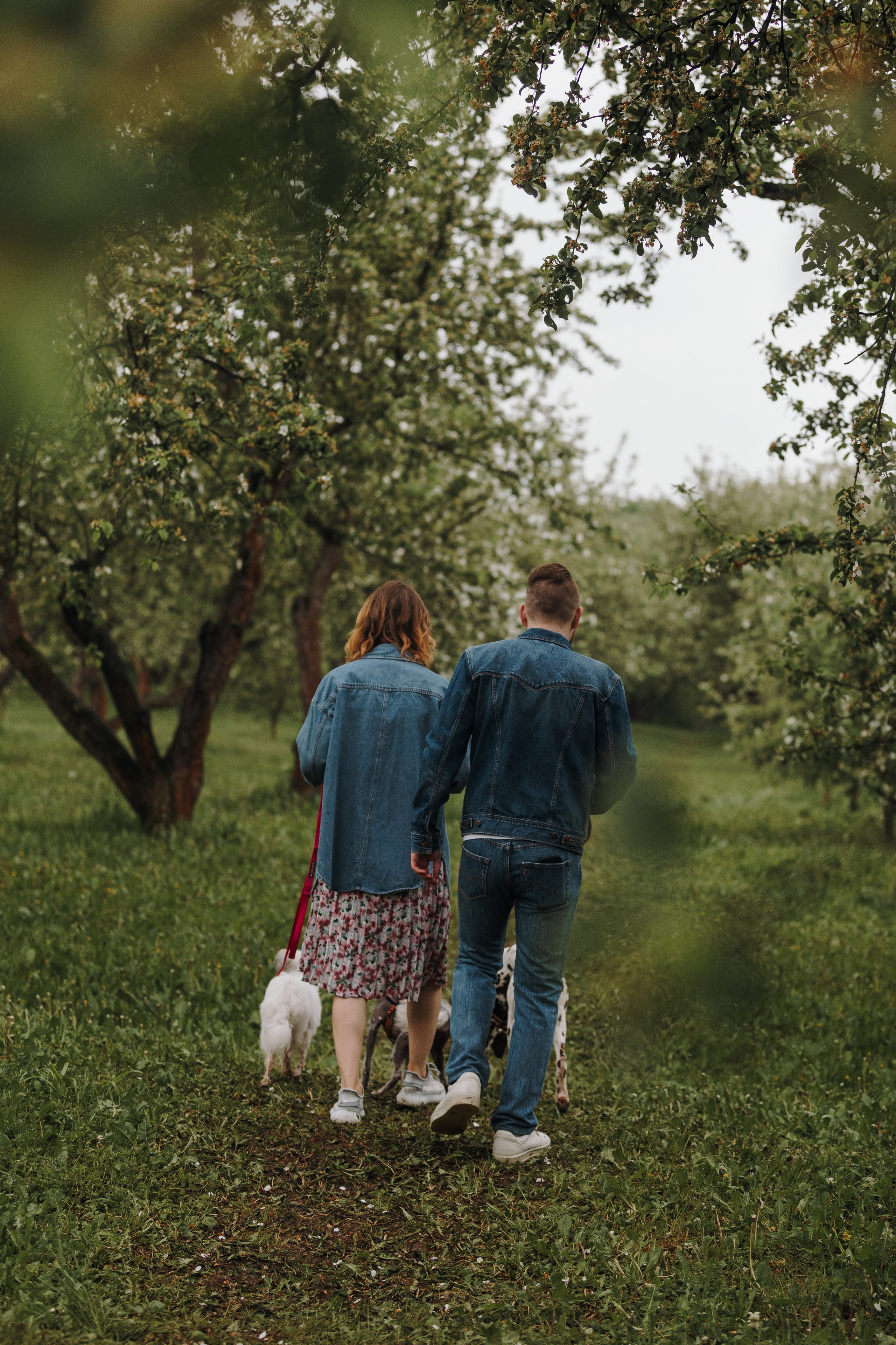 Лили, Уся, Вика и их семья. Фотограф анималист Кристина Карпова, Москва