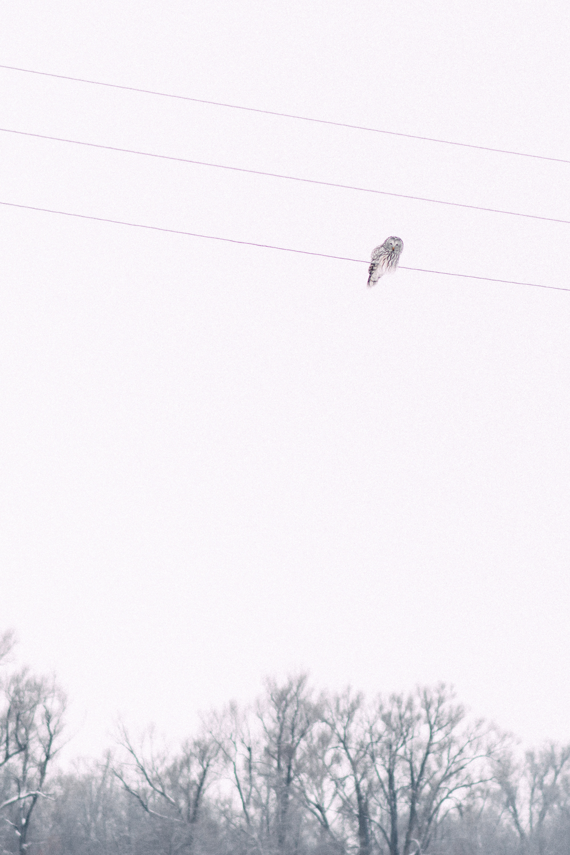 Богородице-Казанский храм с. Верхотор. Свадебный и семейный фотограф в Стерлитамаке, Салавате. Илья Антохин
