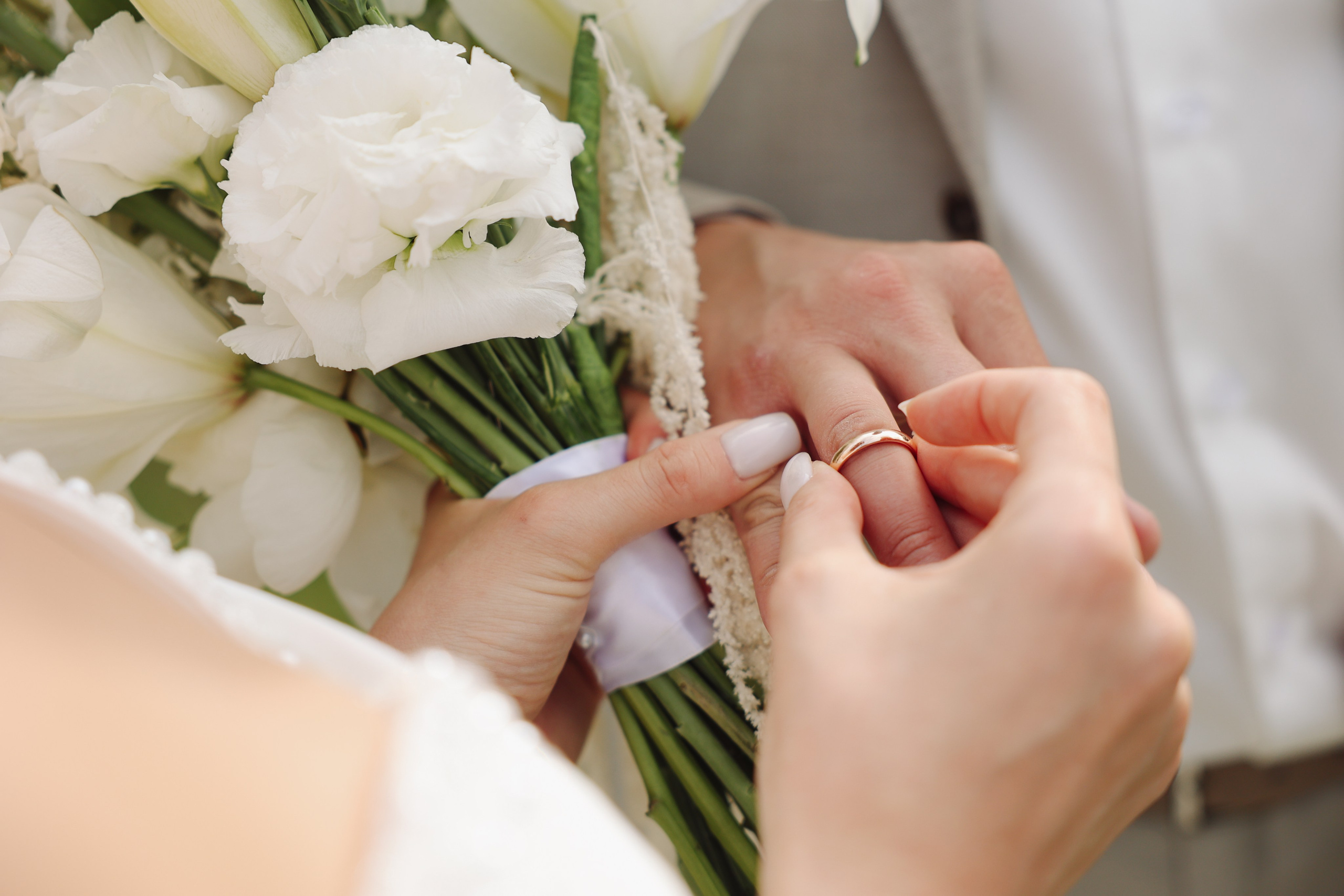 Botanika. Главная