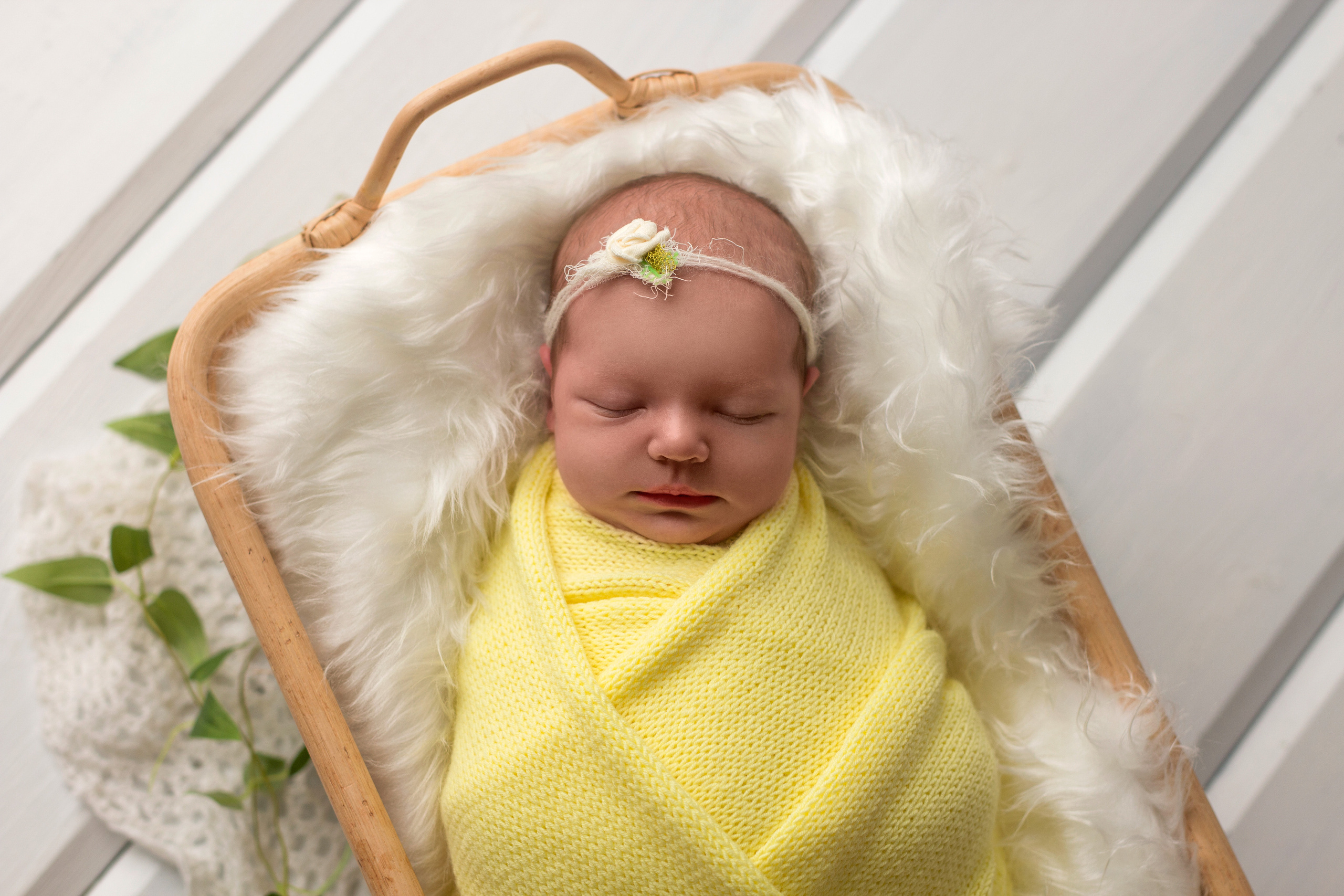 Варвара, 7 дней. Фотограф новорожденных в Нижнем Новгороде Надежда Кадылкина