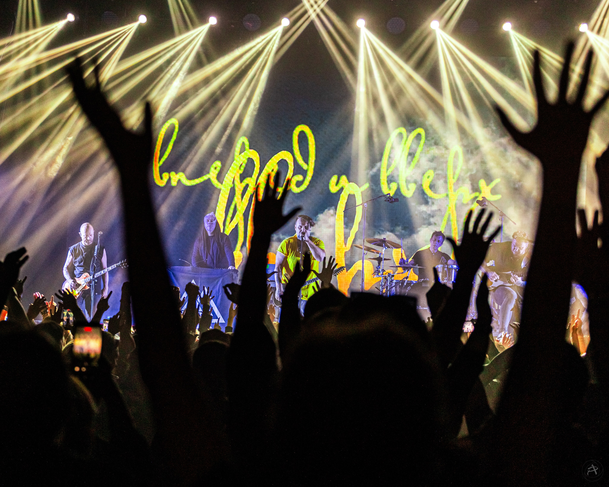 Северный Флот. BASE Club (Москва). Концертный фотограф Аля Рашпиль