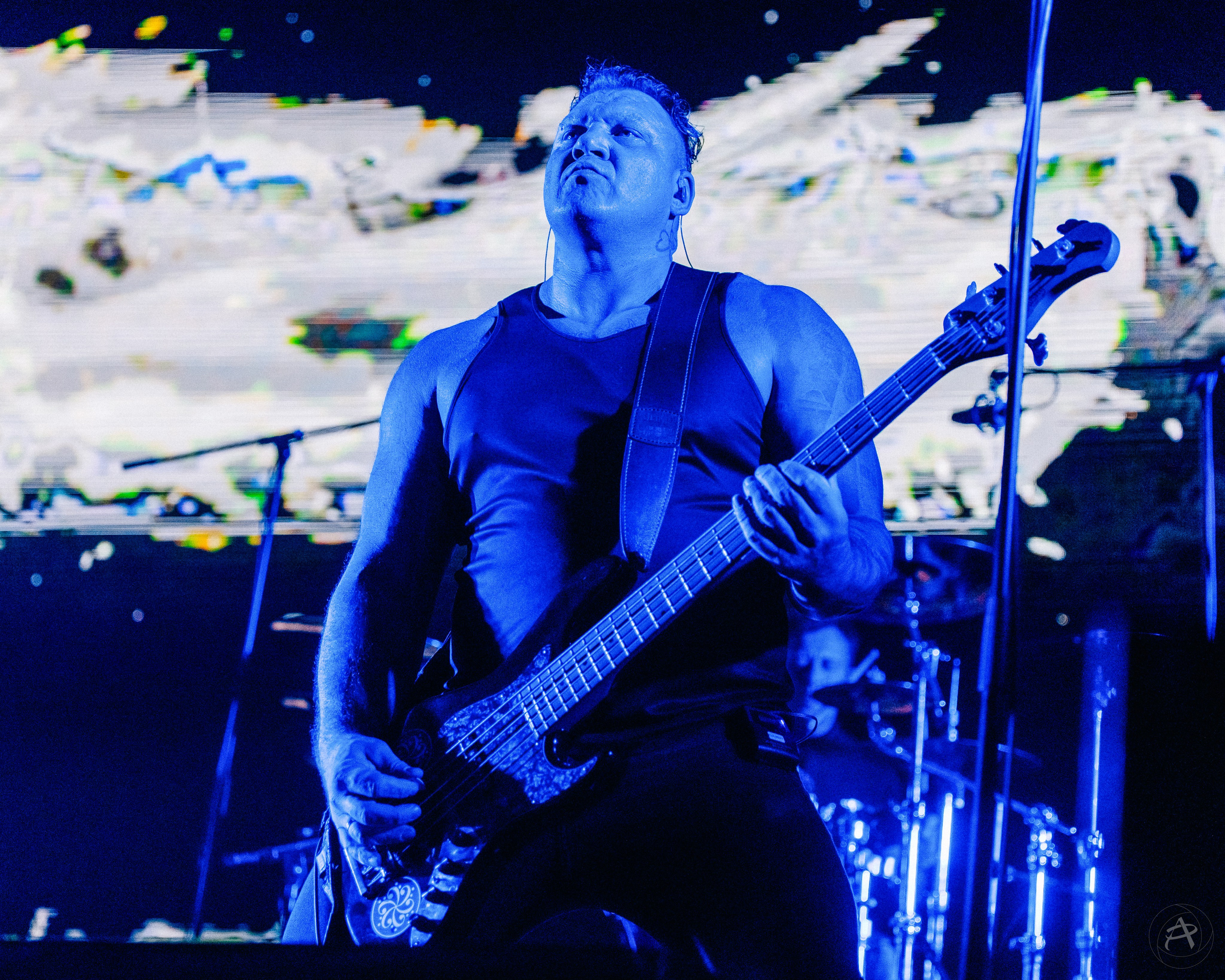 Северный Флот. Atmosphere. Концертный фотограф Аля Рашпиль