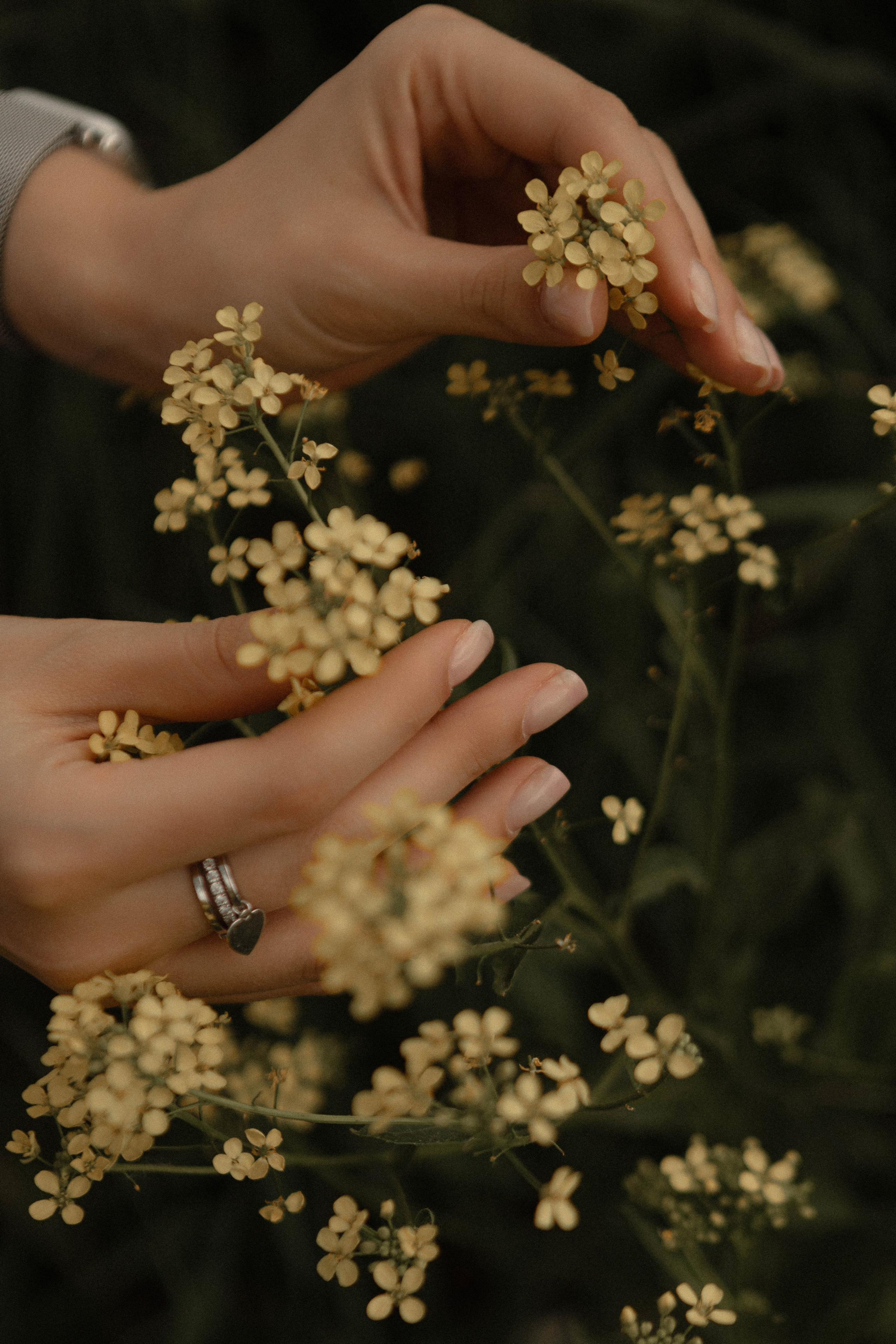 Индивидуальная фотосессия в Твери. Фотограф Тверь | Татьяна Белова