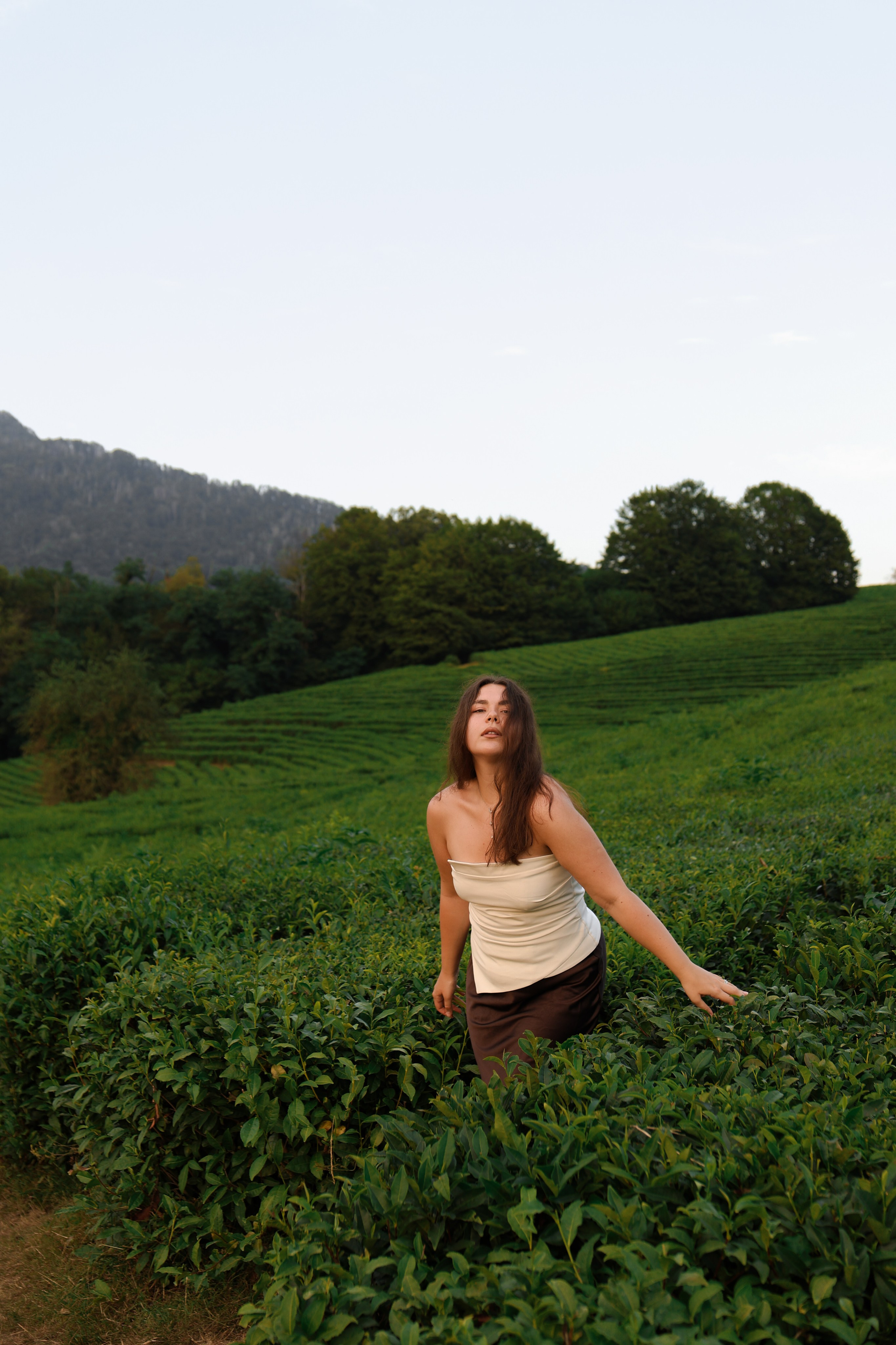 ЧАЙНЫЕ ПЛАНТАЦИИ. Фотограф Москва Оля Олбимак