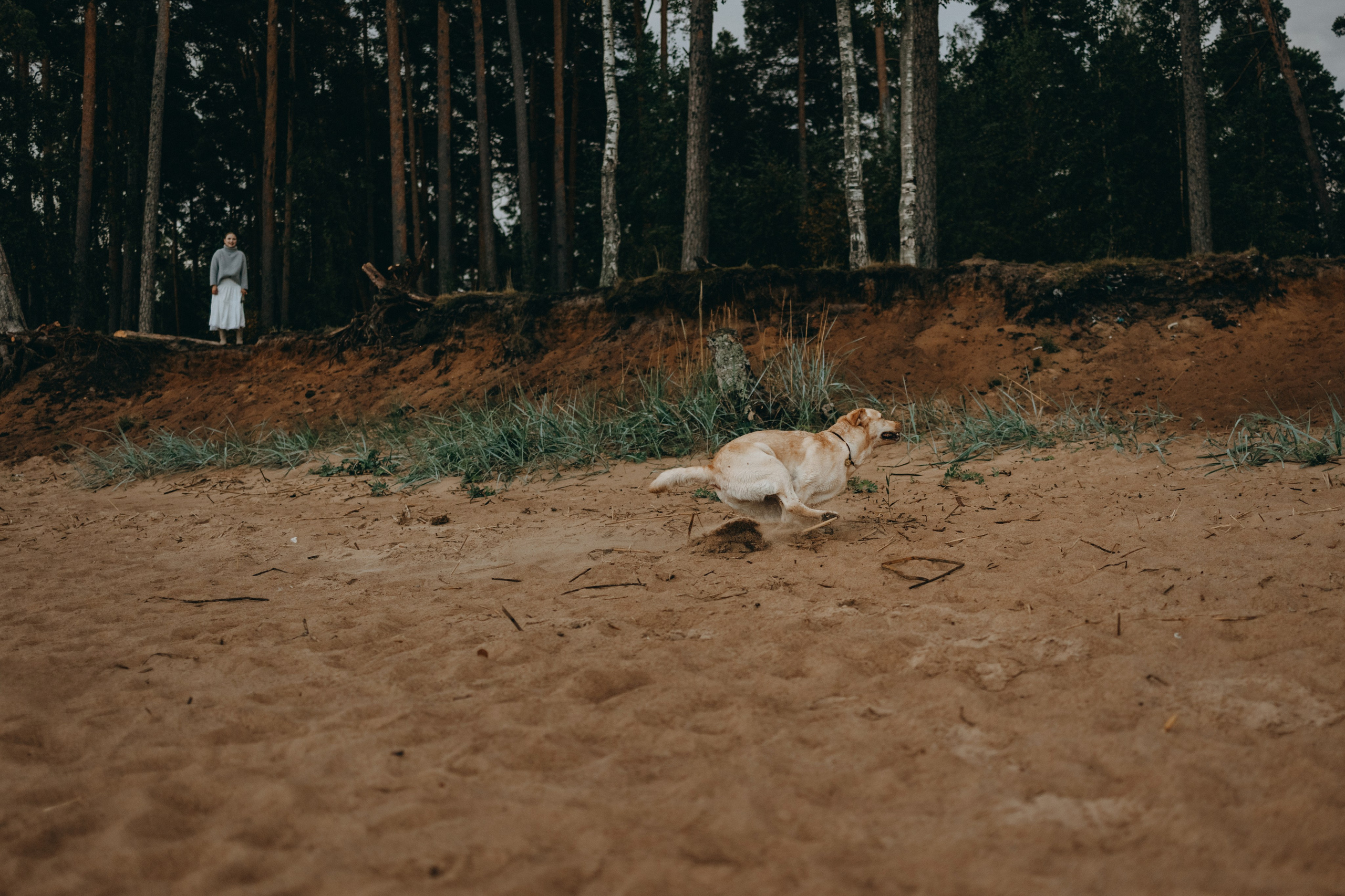 Наташа и Шани. Фотограф — Анималист | Санкт-Петербург