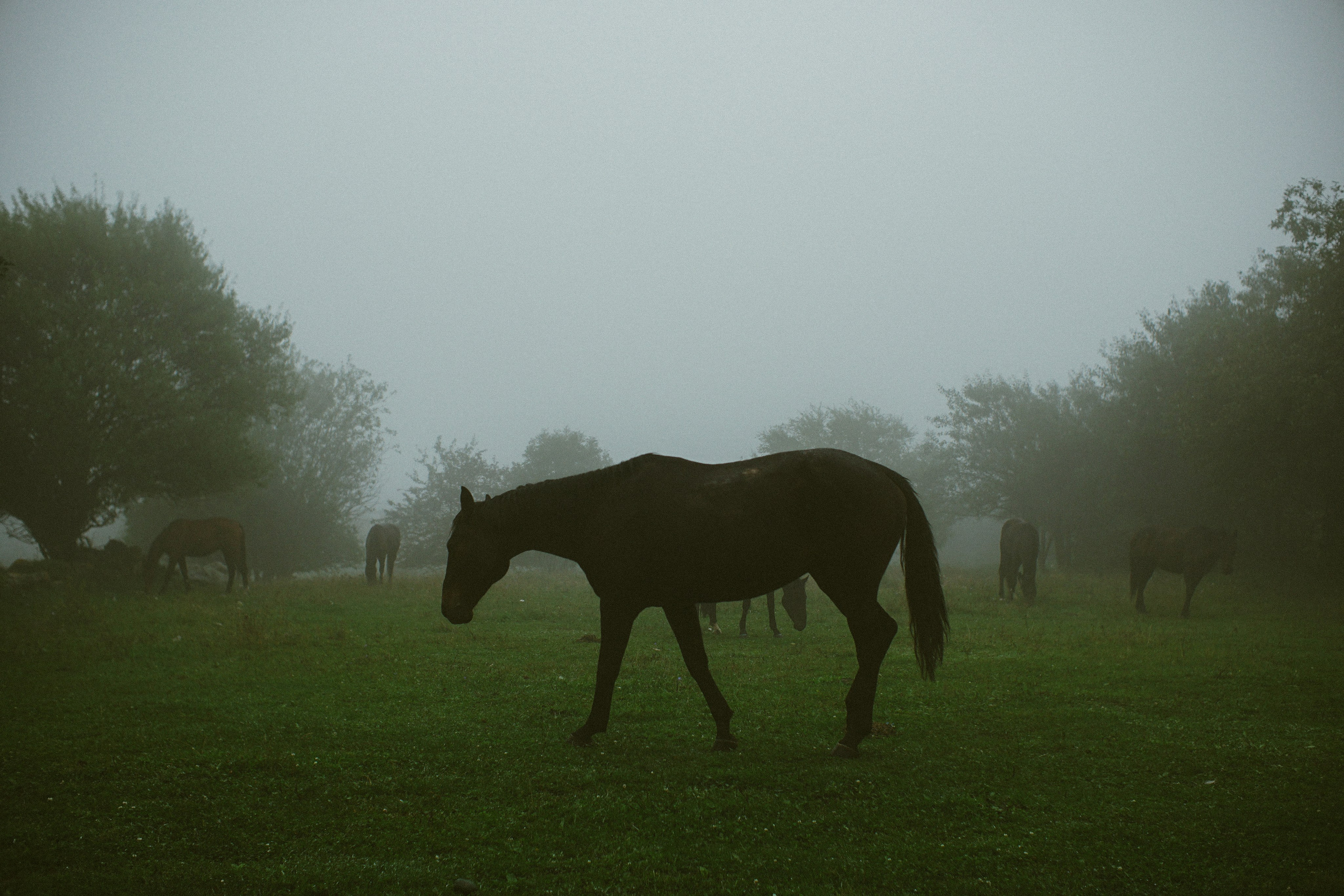 Блог про Верхнюю Балкарию. NECULTURED PHOTOGRAPHER