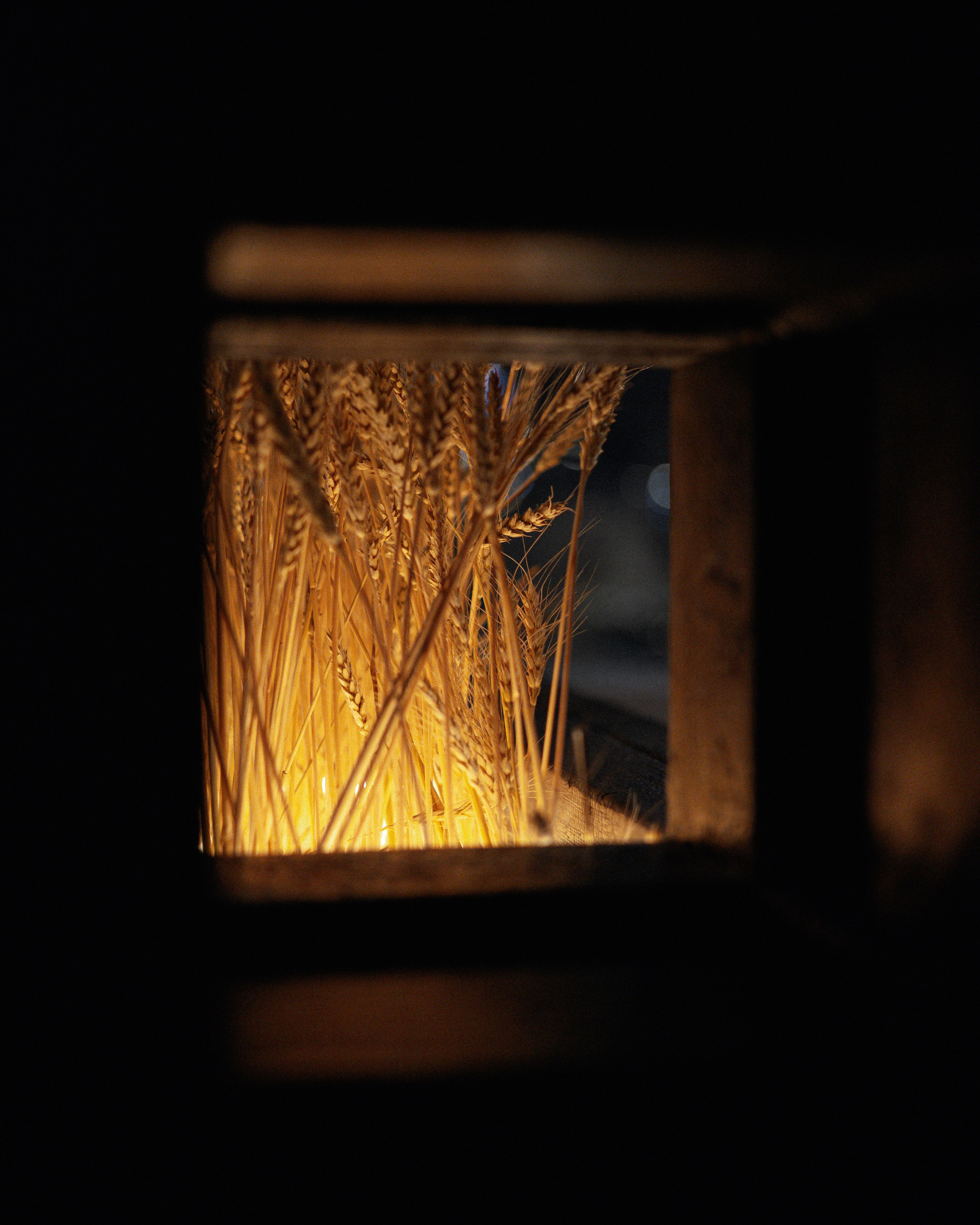 Новый год ресторан «Горячий цех». Фотограф Артем Давыдов