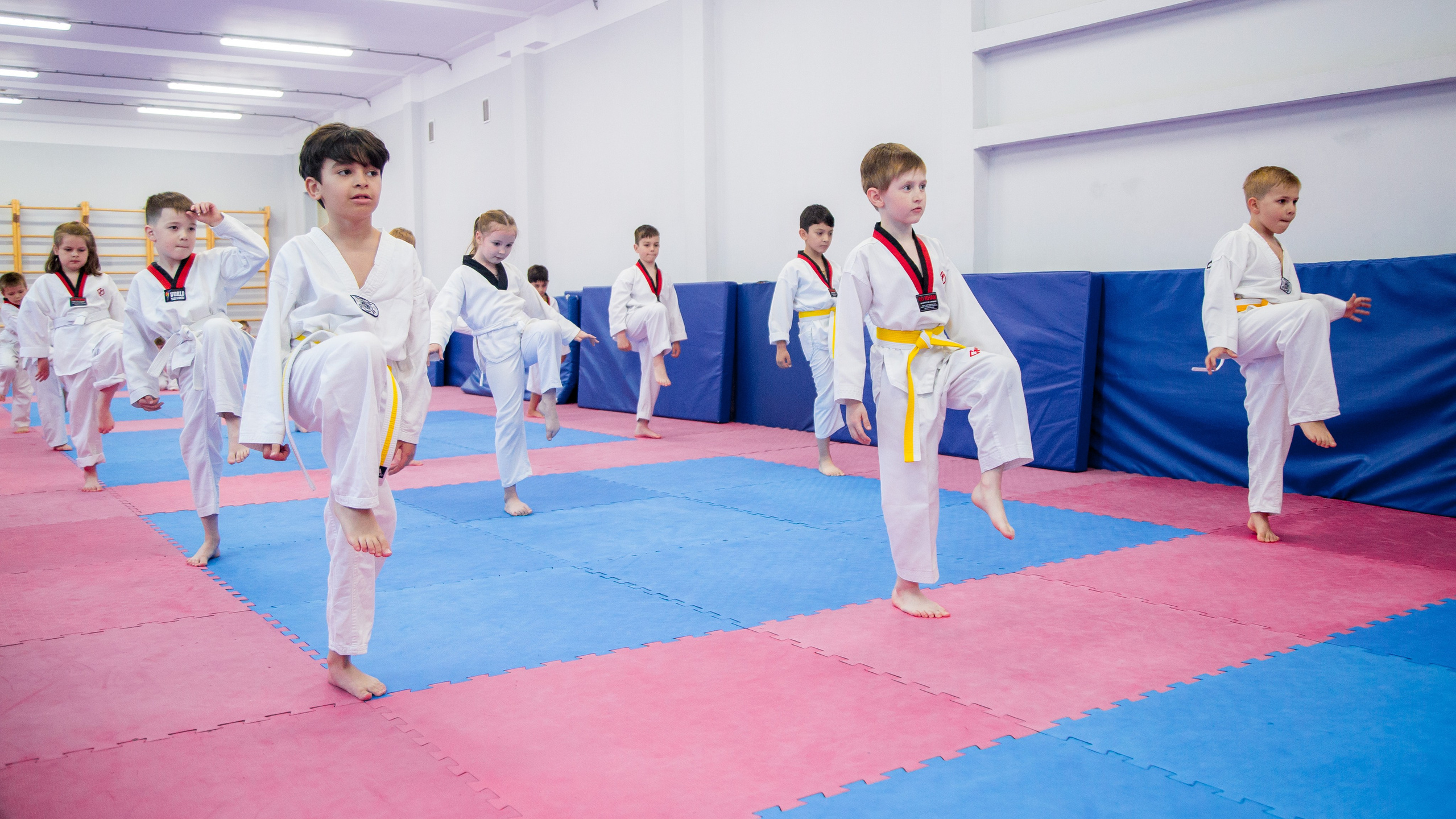 Желтый пояс по тхеквандо. Репортажный фотограф Борис Геер