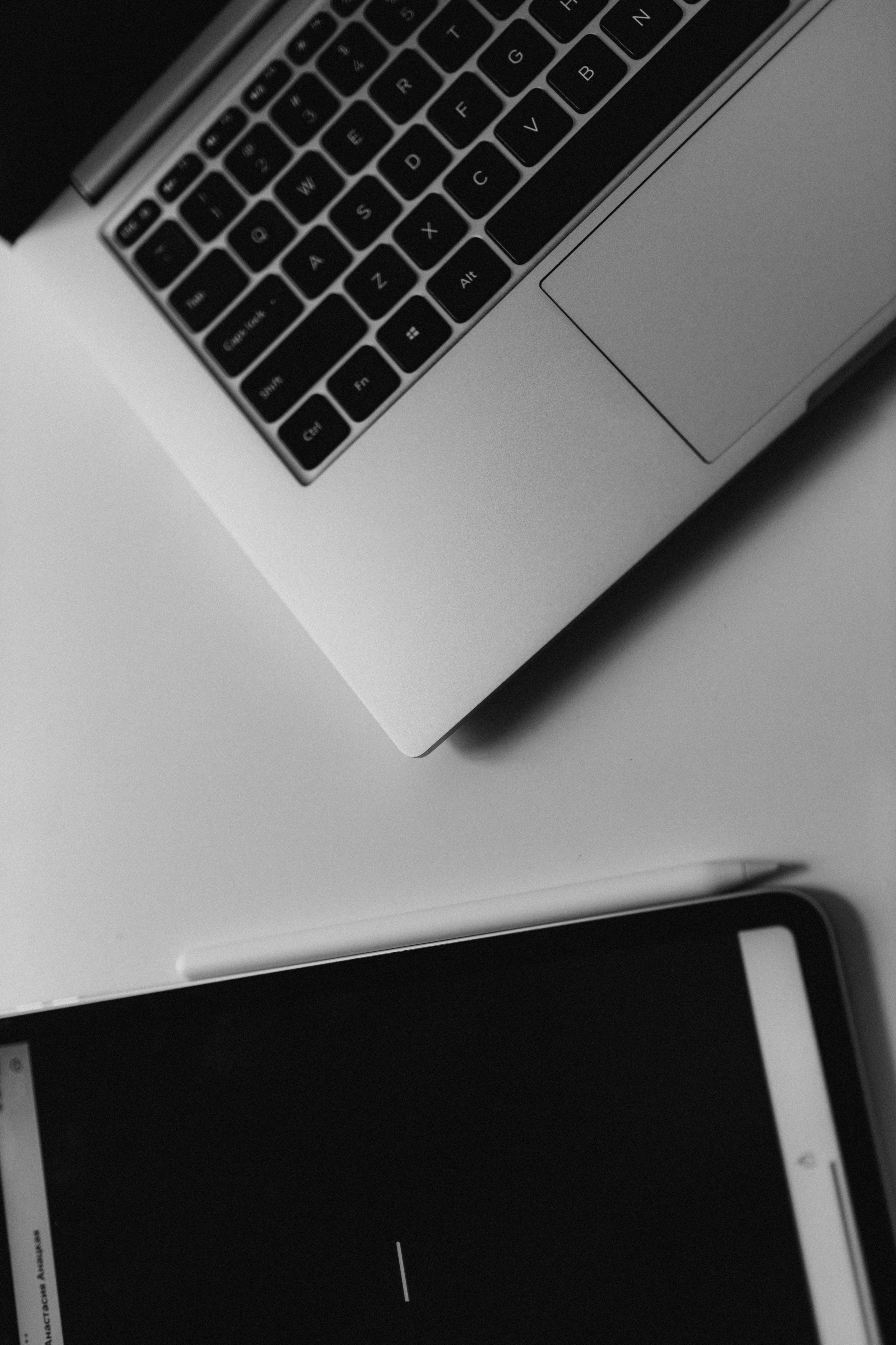 Настя. Веб-дизайнер. Фотограф НОГИНСК, Москва, Анастасия Белая