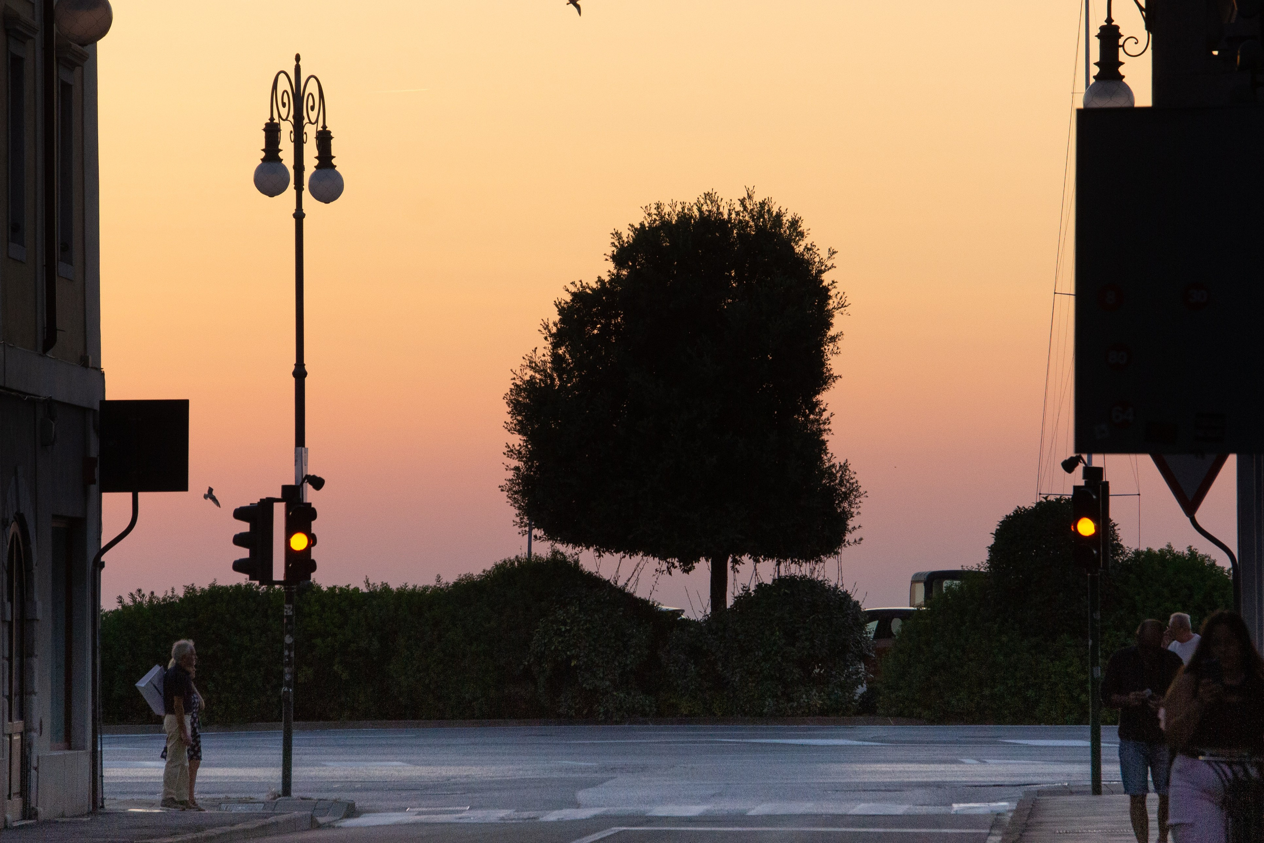 Lanterne di una citta. Fotografo Alina Imanbaeva Trieste e FVG