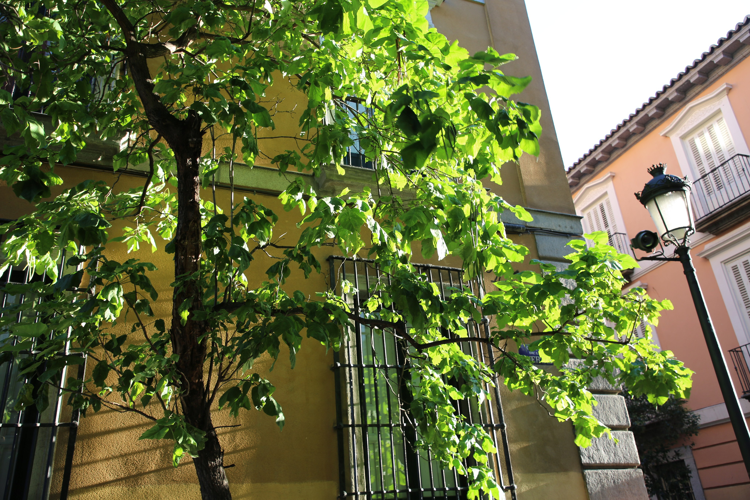 Madrid, Spain. Andrey Filippov Photographer