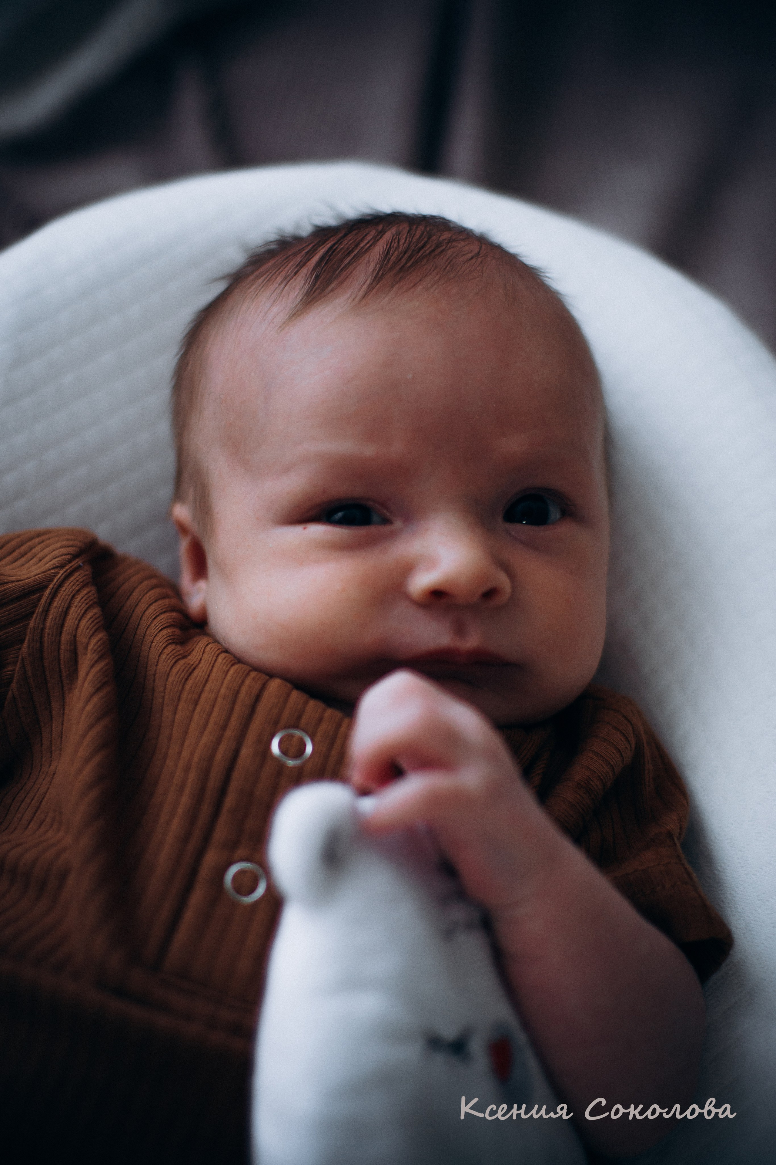 Фотограф новорожденных.Newborn.Домашняя фотосессия. Семейный и newborn lifestyle фотограф в Магнитогорске Ксения Соколова