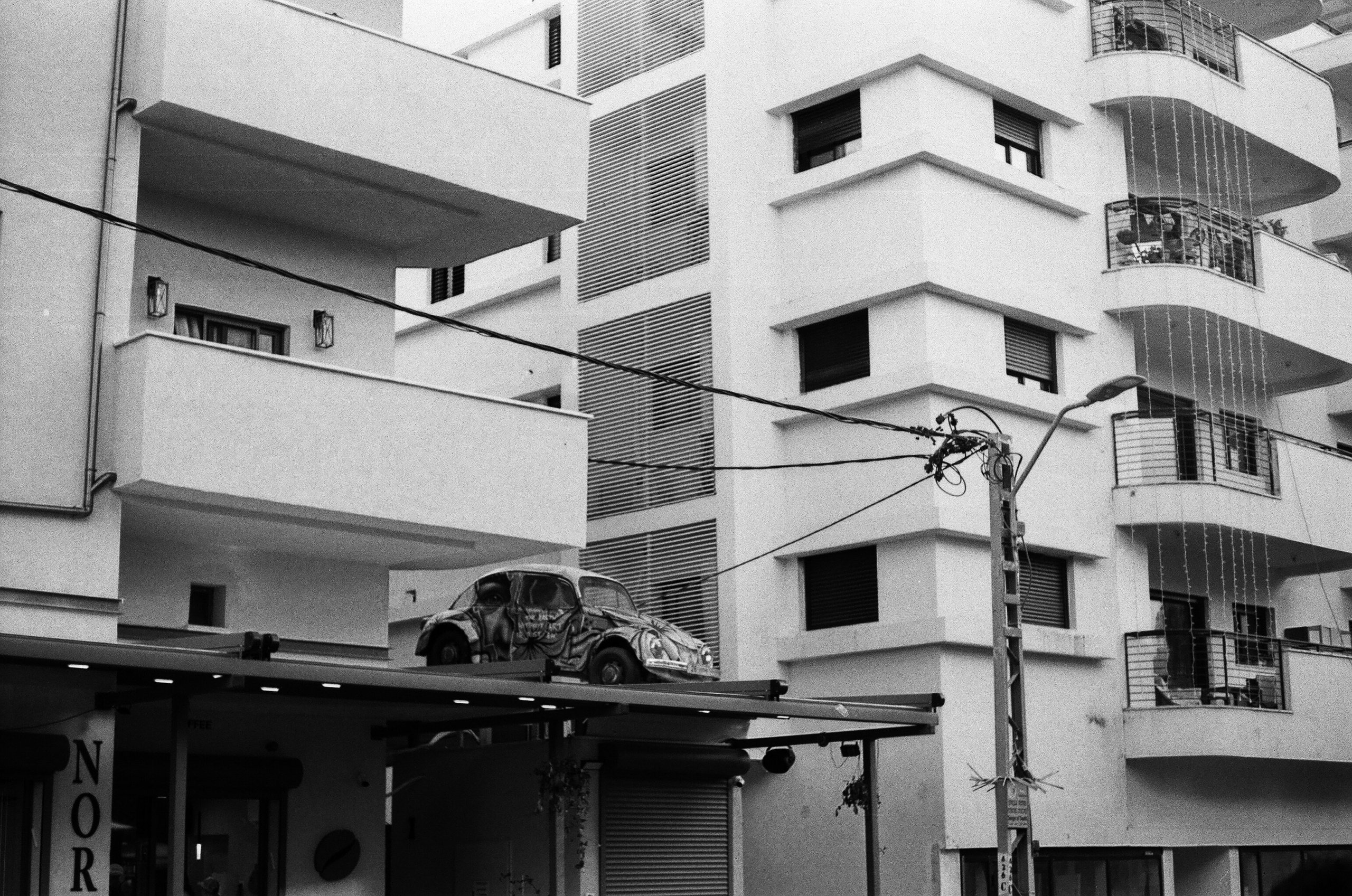 Israel 2025. Свадебный и портретный фотограф в Санкт-Петербурге