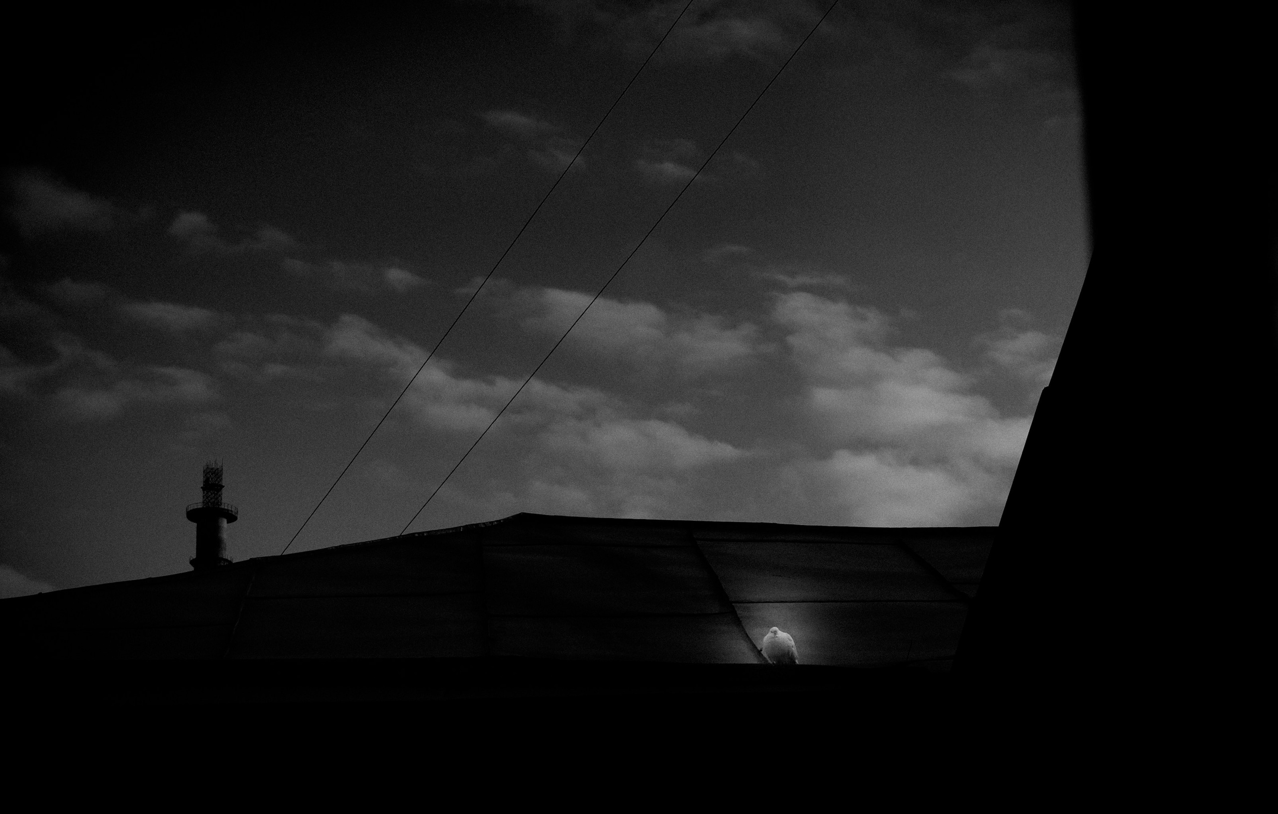 Слава где фотки?