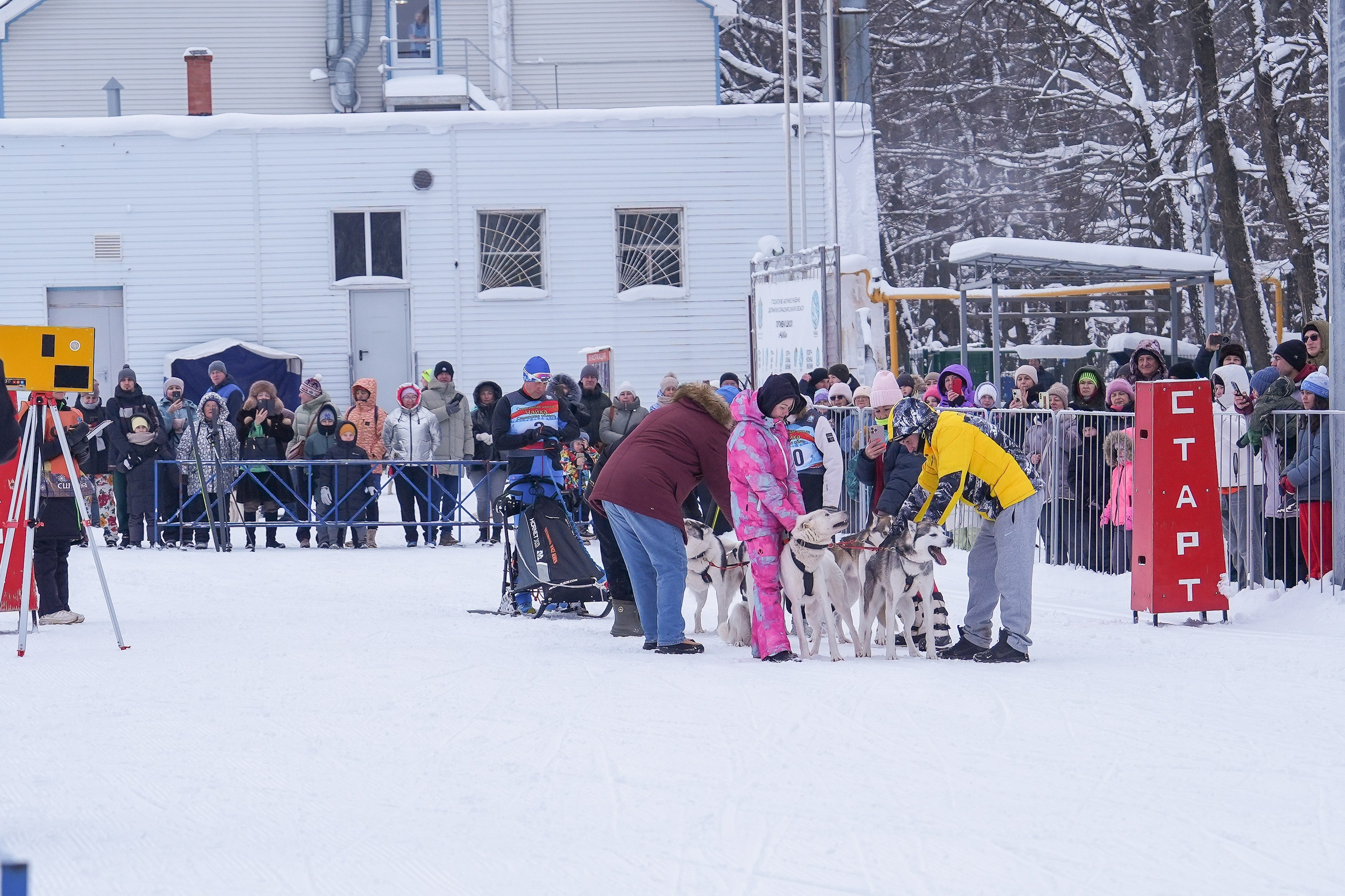 Рождественские гонки на собаках. Т/б «Чайка». Семейный фотограф Владимир Просвиркин. г. Самара