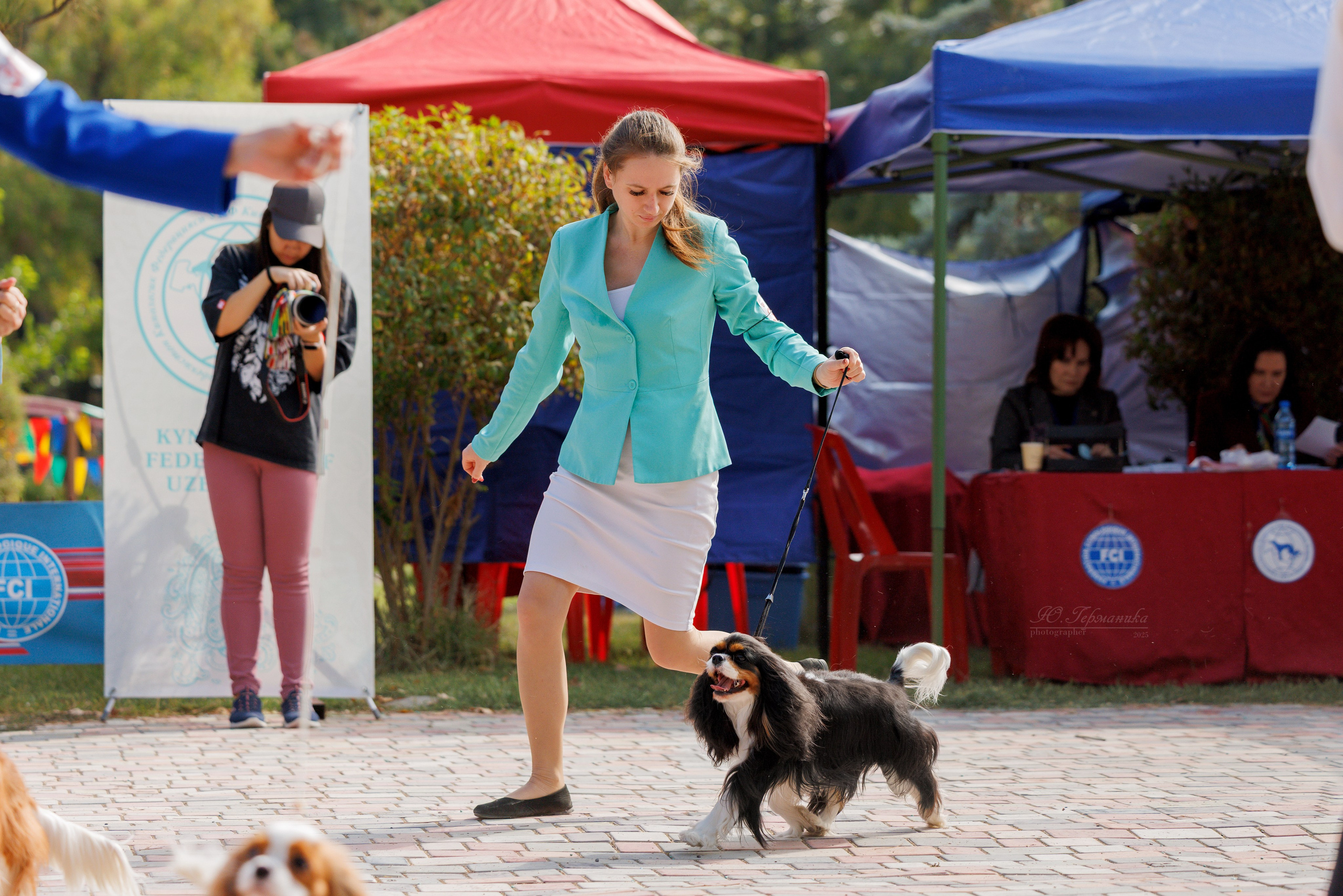 Ташкент 3хCACIB 3-5.10.2025. Фотограф-анималист Юлия Германика