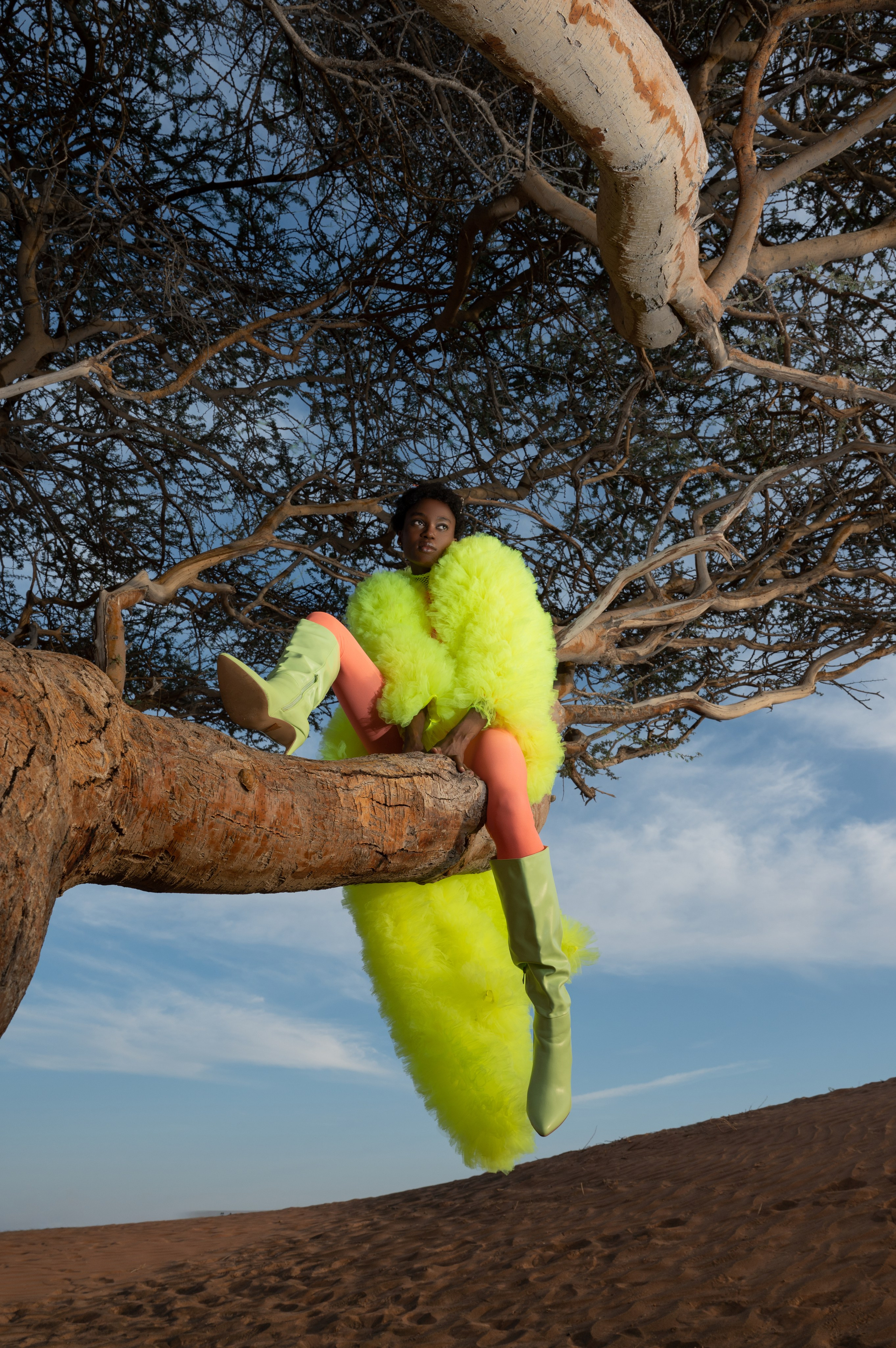 Fairy bird. Коммерческий фотограф Москва /Дубай, эксклюзивные фэшн фотосессии