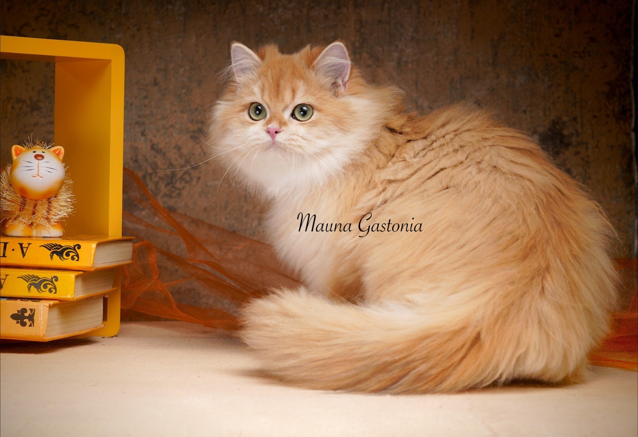 Germes. Mauna Gastonia