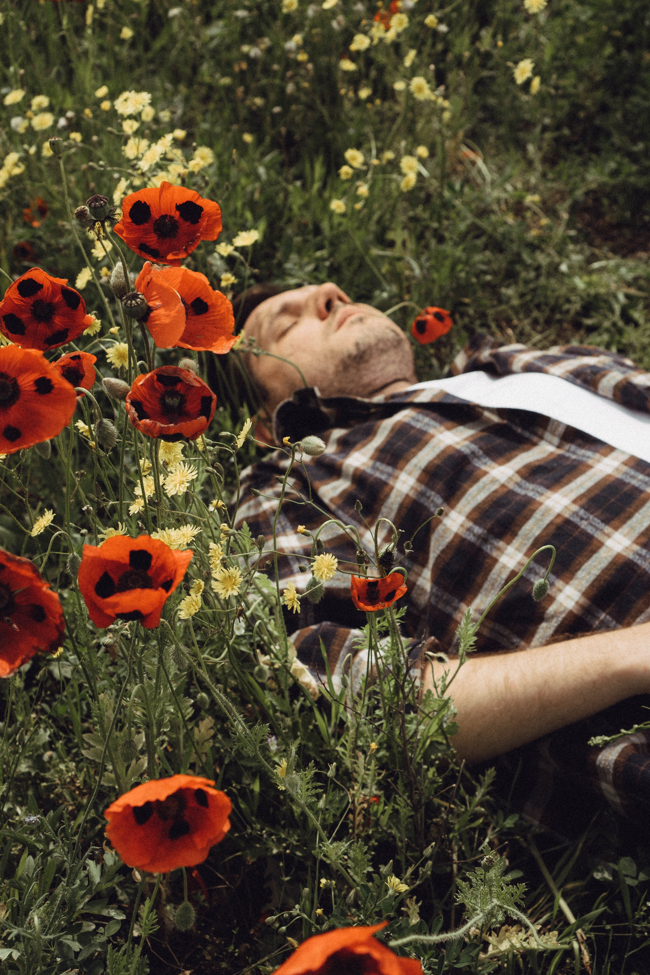 Маки. Профессиональный фотограф, Санкт-Петербург — Виктория Богомолова