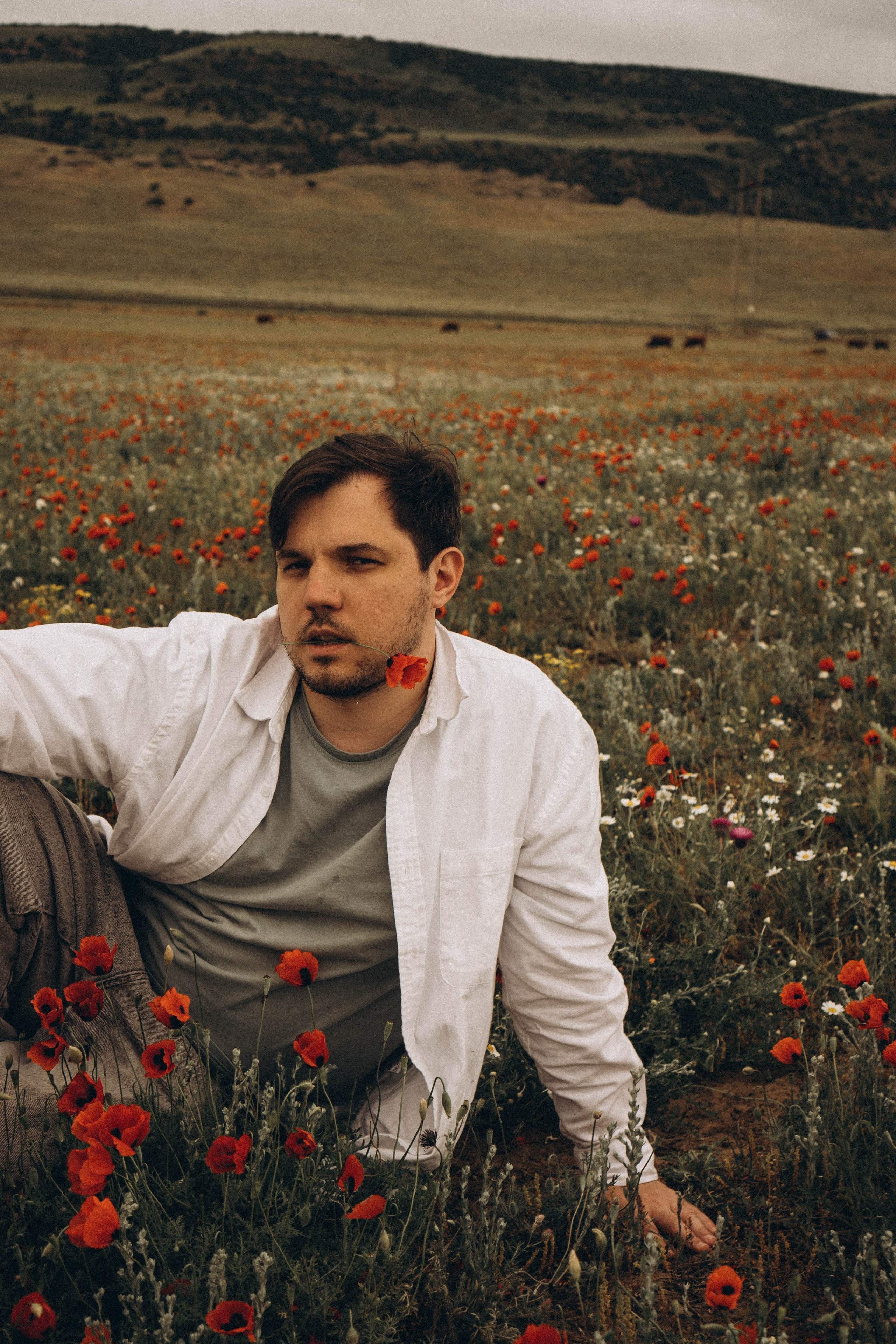 Маки. Профессиональный фотограф, Санкт-Петербург — Виктория Богомолова