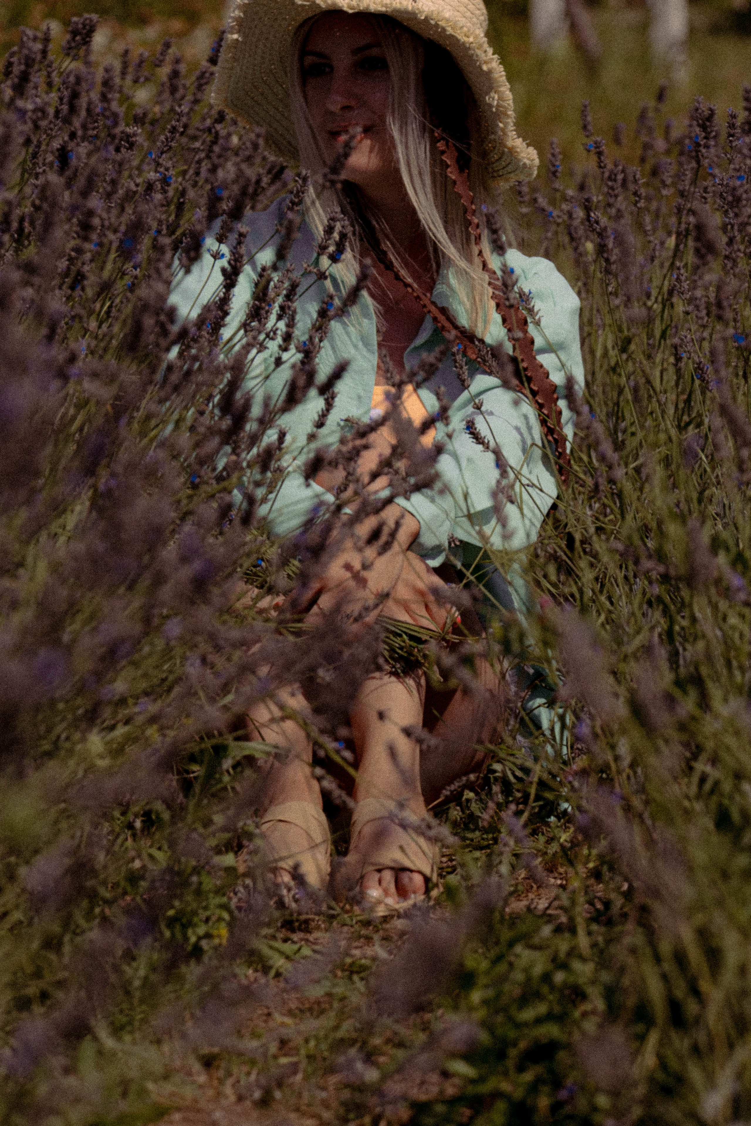 ЛАВАНВОДОВОЕ ПОЛЕ. Профессиональный фотограф, Санкт-Петербург — Виктория Богомолова