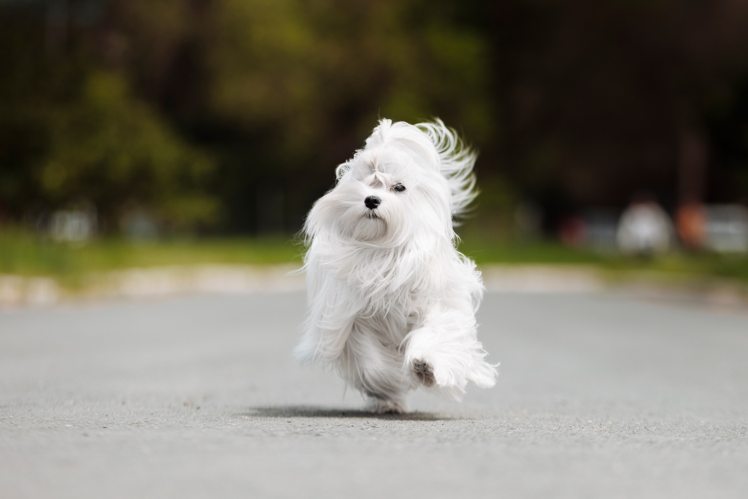 Такой разношерстный Орск 25. О нас