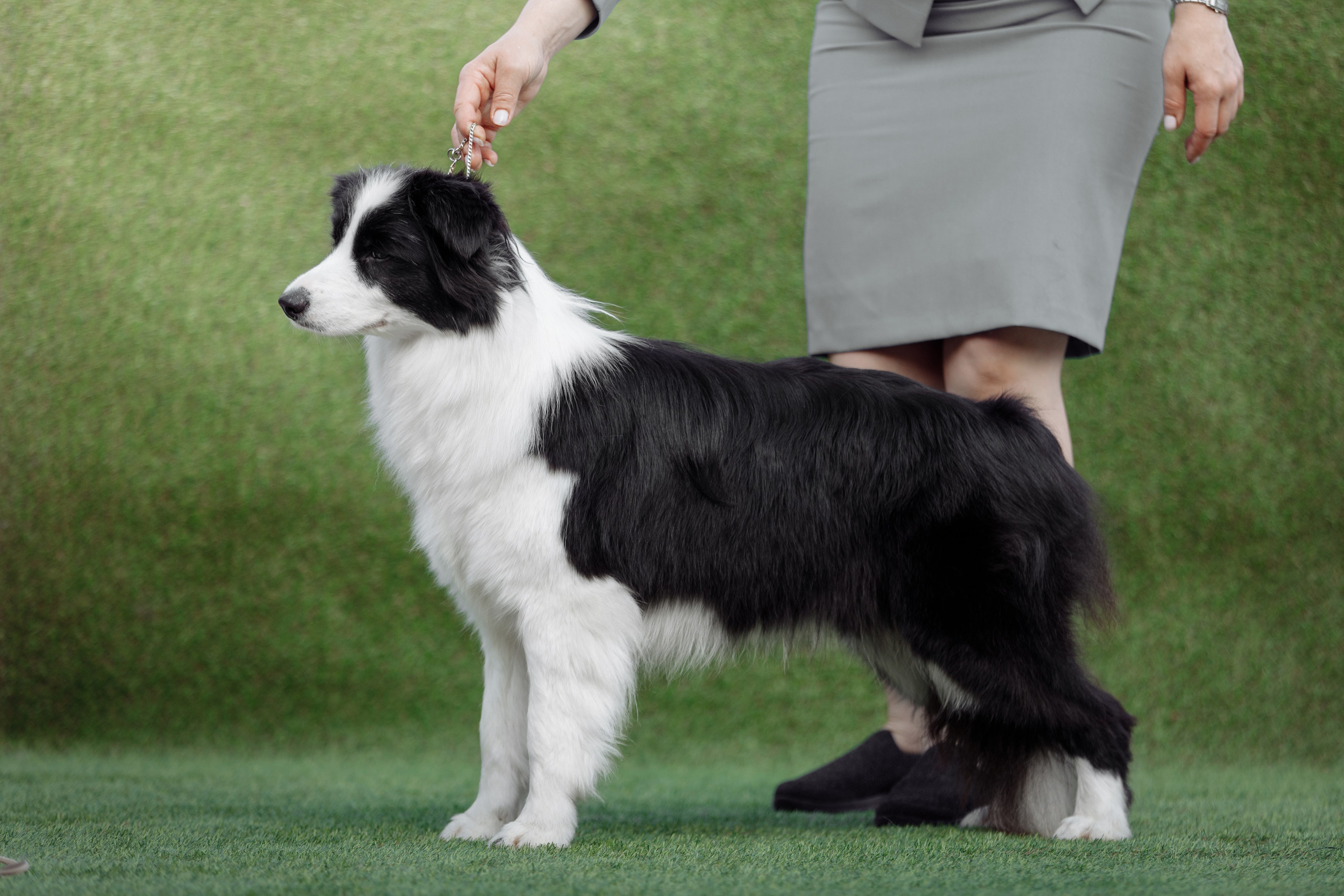 Свое место. О нас