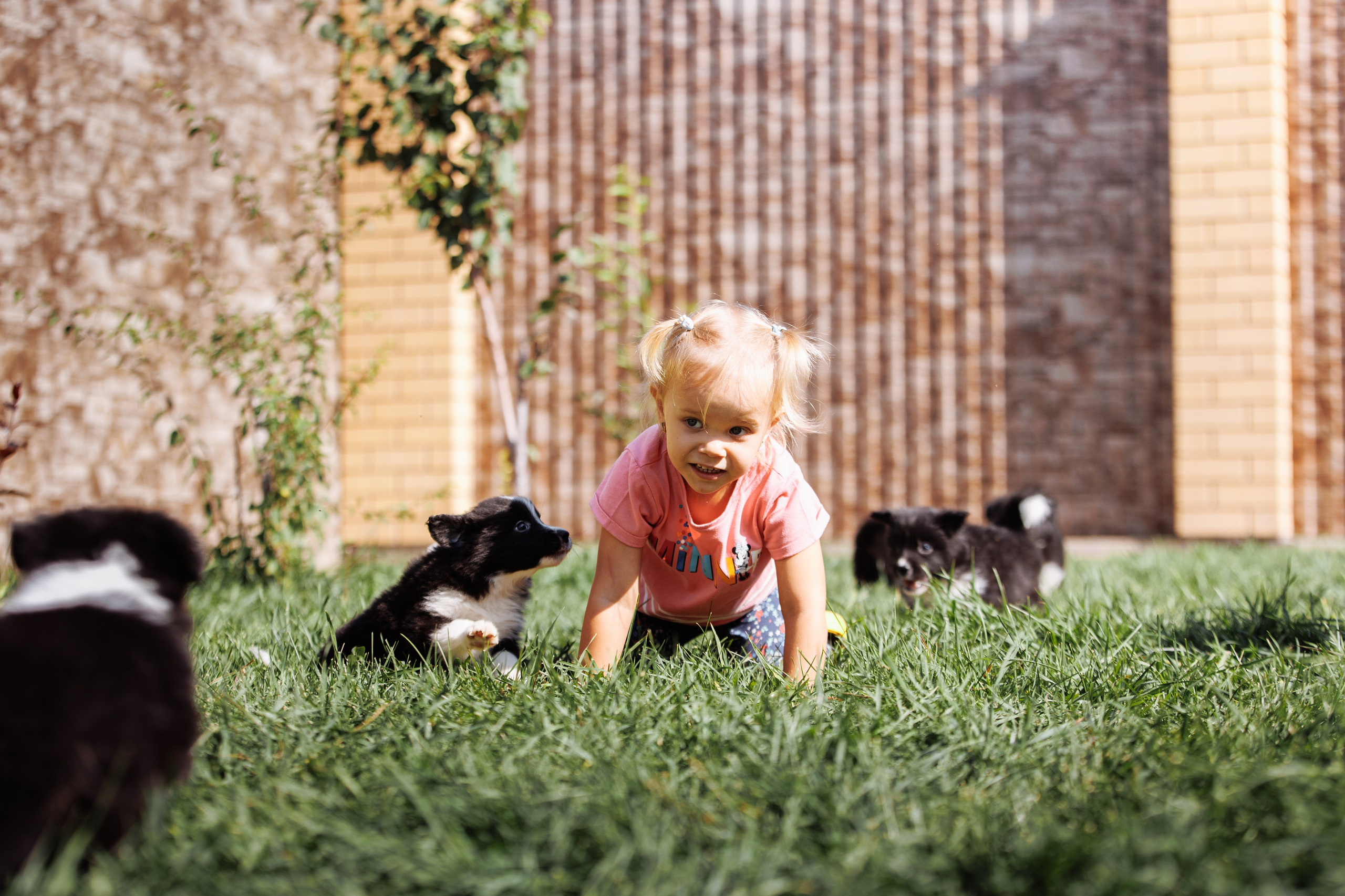 МММ — маленькое мягкое милое. О нас