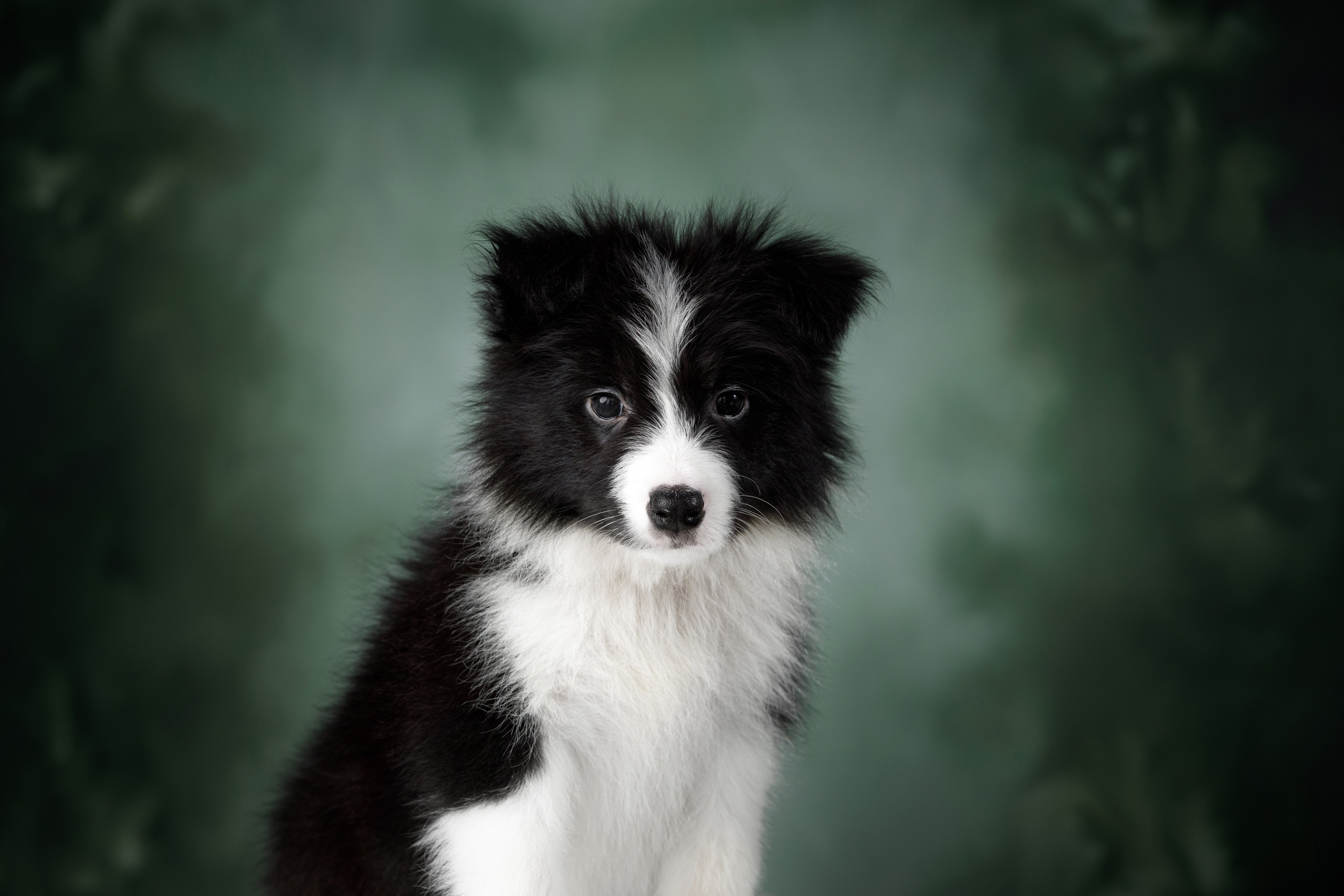 Март. Весна. 22. О нас