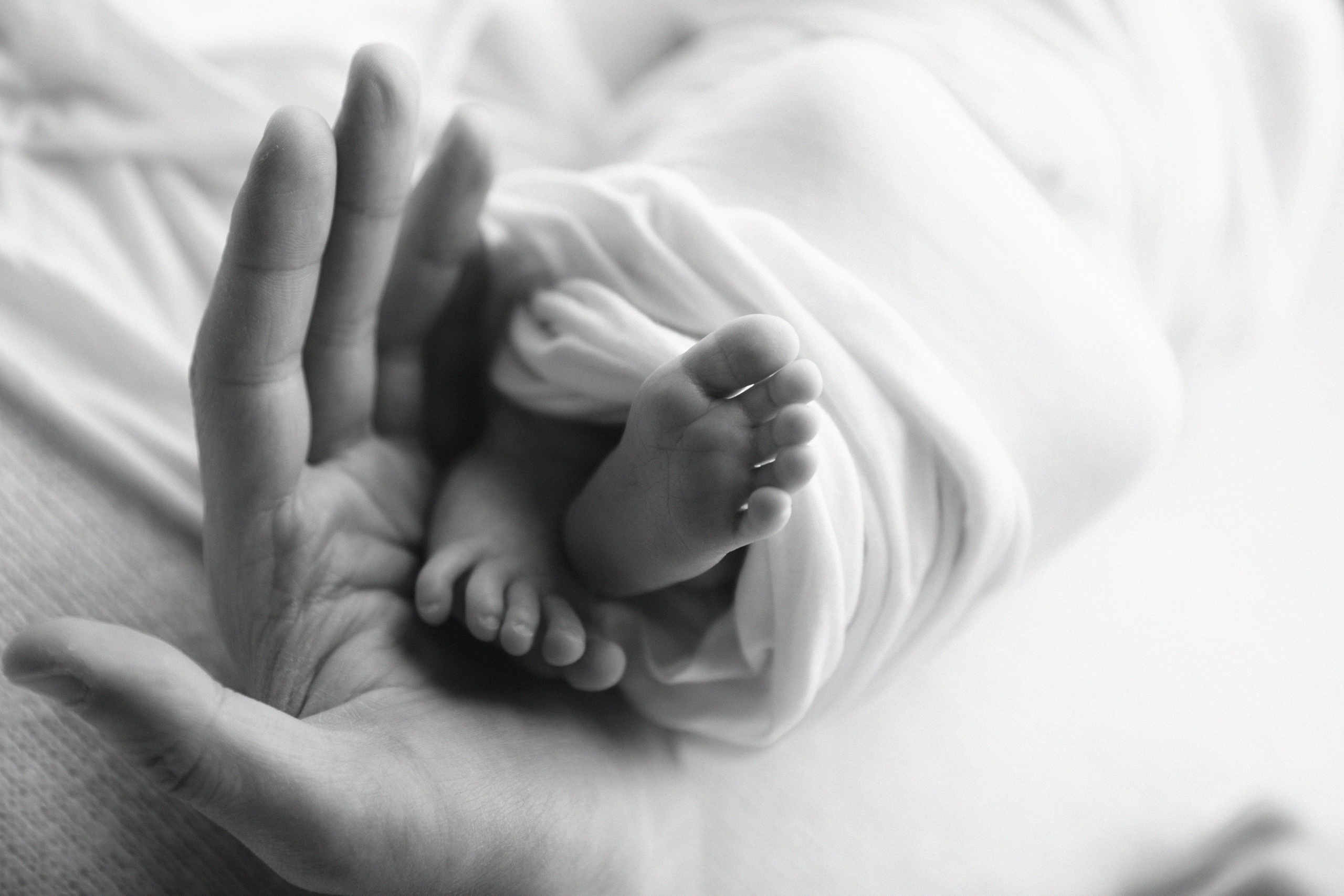 Съемка новорожденного в студии. Фотограф новорожденных, детский фотограф  Москва.Семейная съемка Москва. Семенова Анна