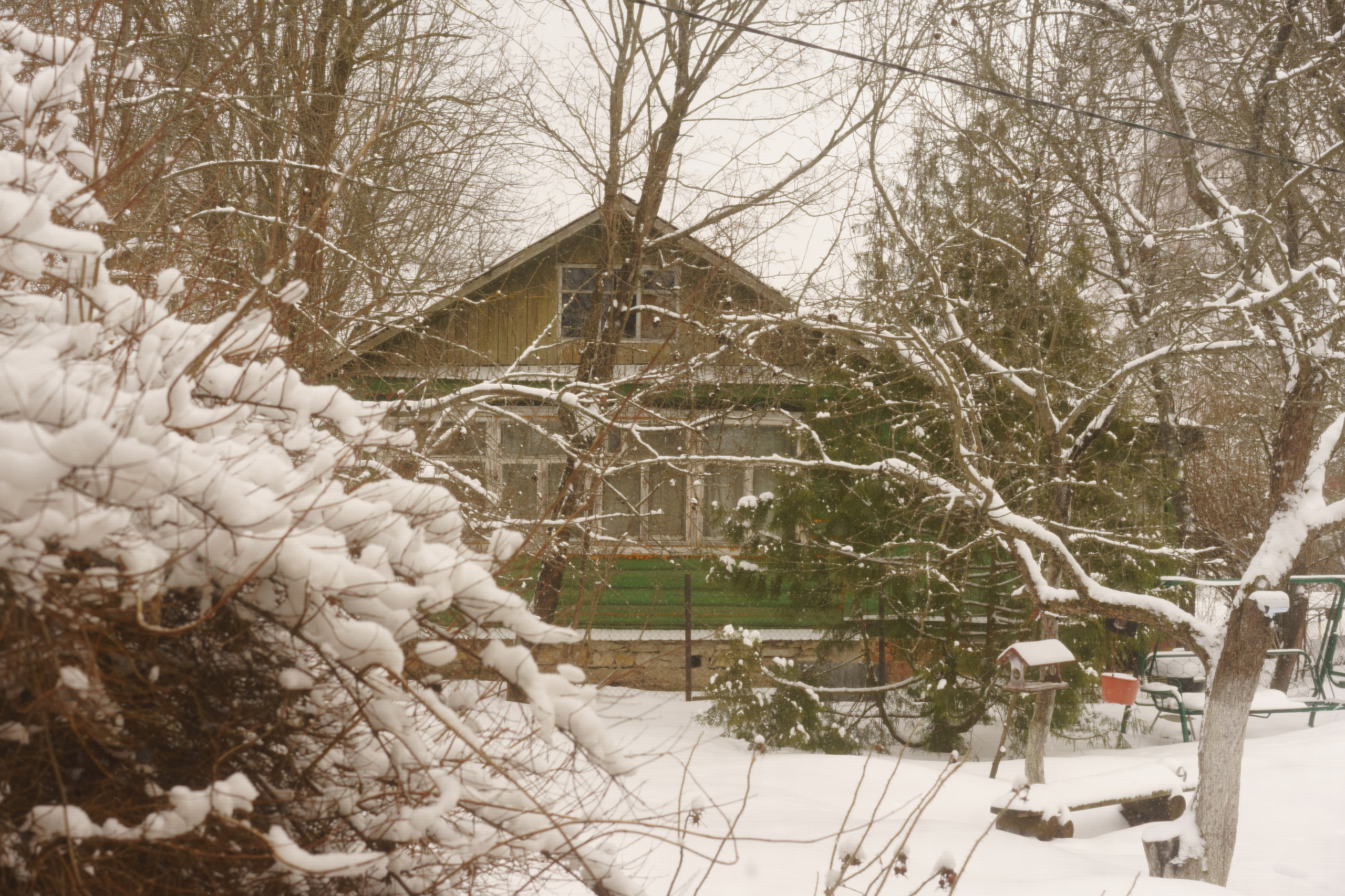 Фоторепортаж мастер-класса художника. Лиза Фирстова — самый добрый фотограф
