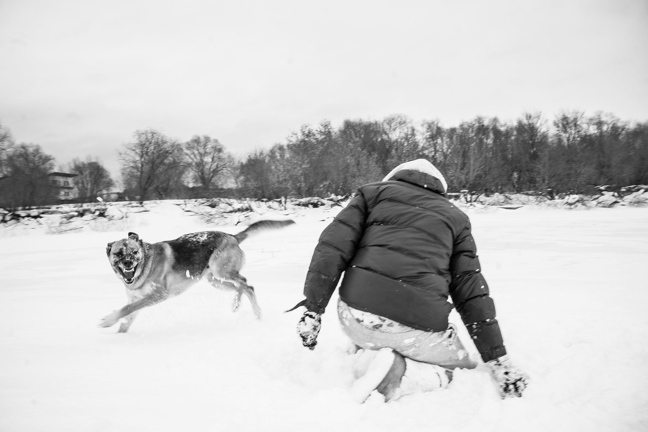 А что вы знаете о настоящей дружбе. Лиза Фирстова — самый добрый фотограф