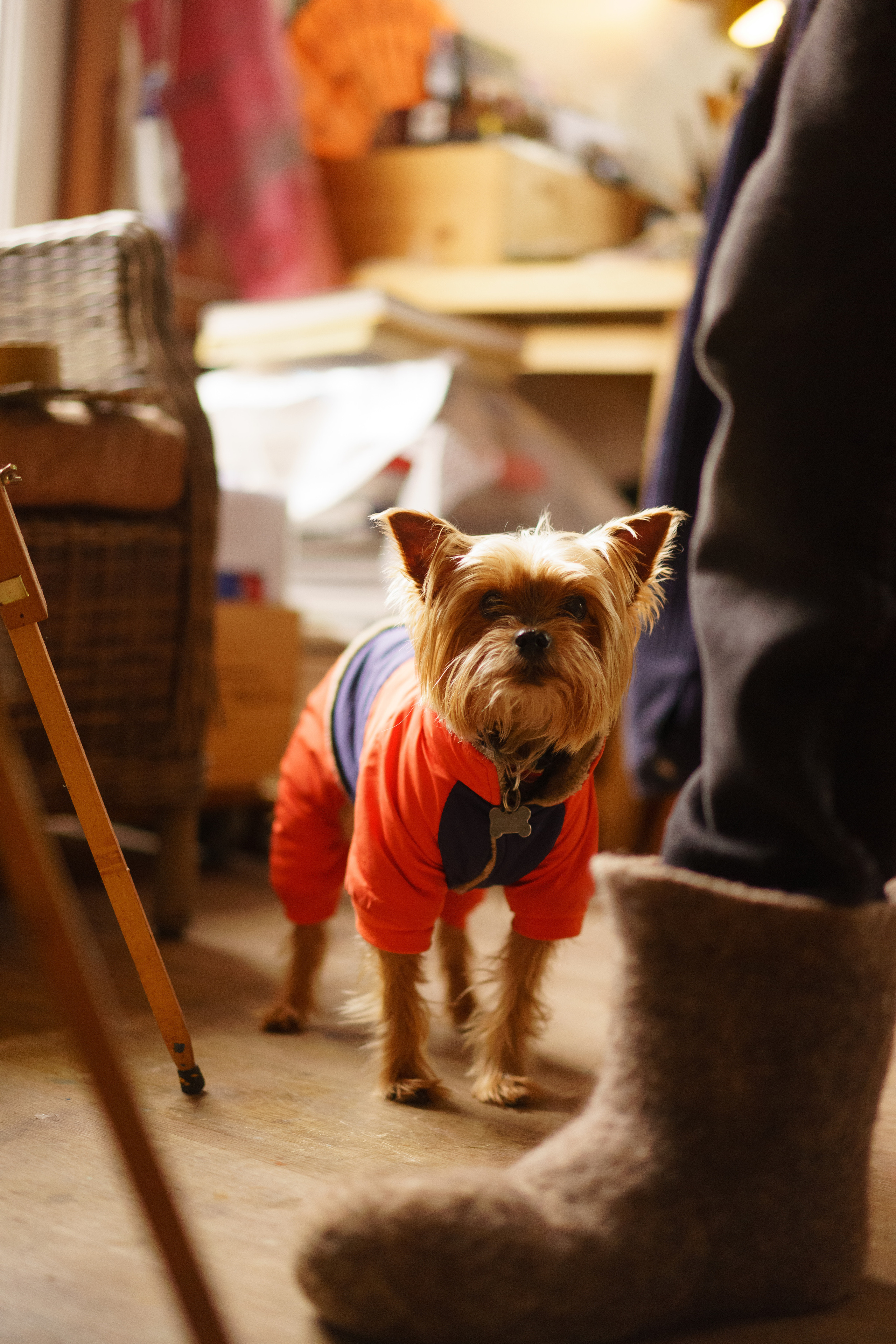 Фоторепортаж мастер-класса художника. Лиза Фирстова — самый добрый фотограф