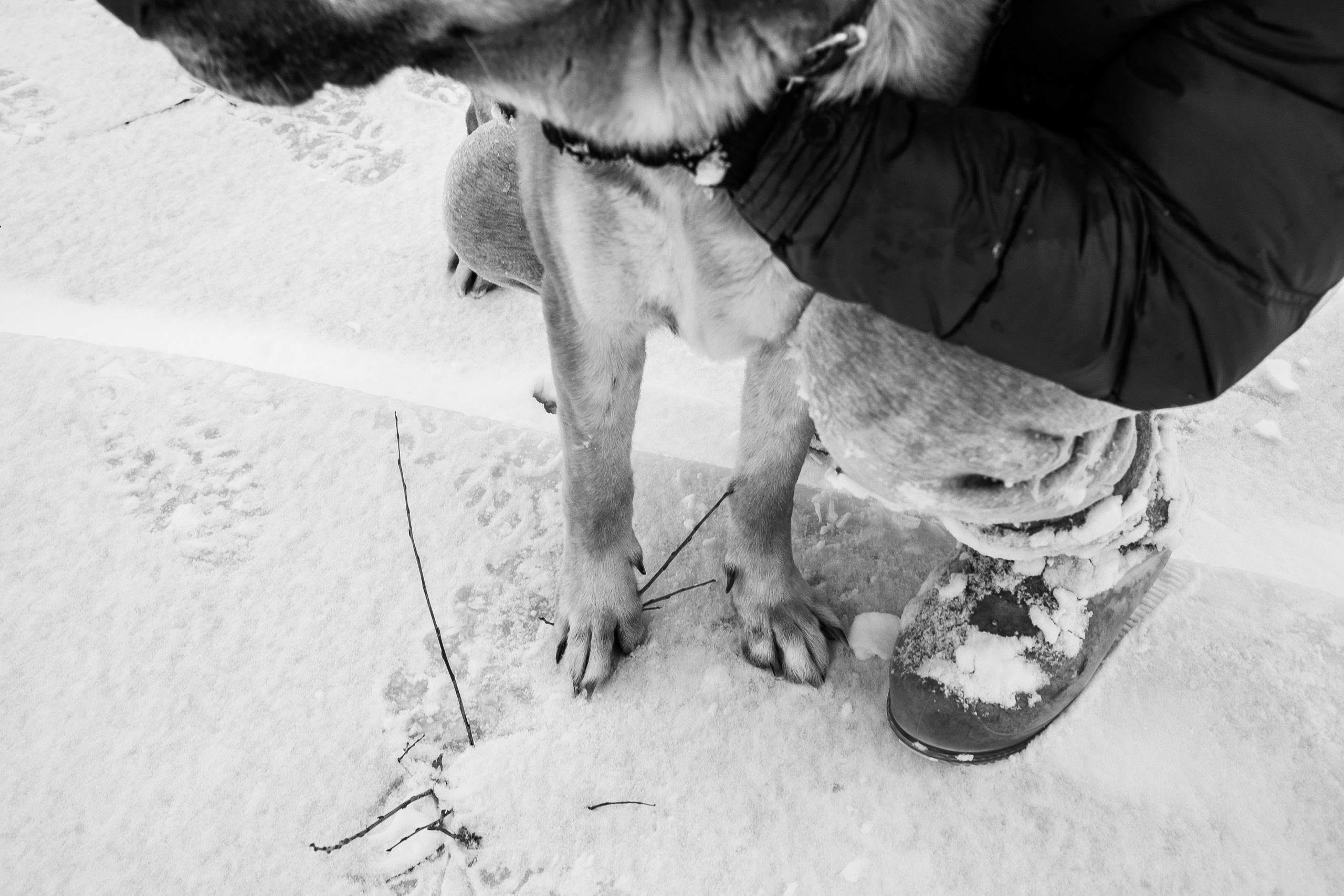 А что вы знаете о настоящей дружбе. Лиза Фирстова — самый добрый фотограф