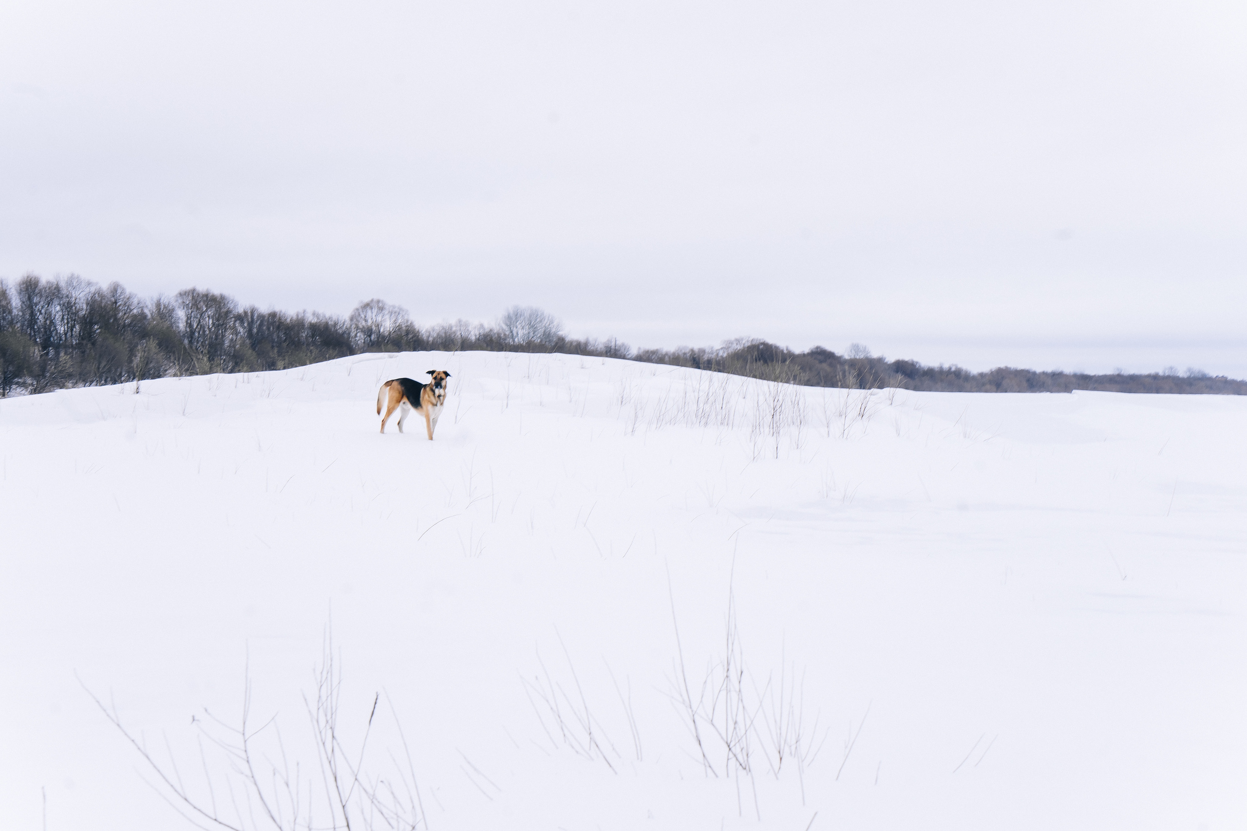 А что вы знаете о настоящей дружбе. Лиза Фирстова — самый добрый фотограф