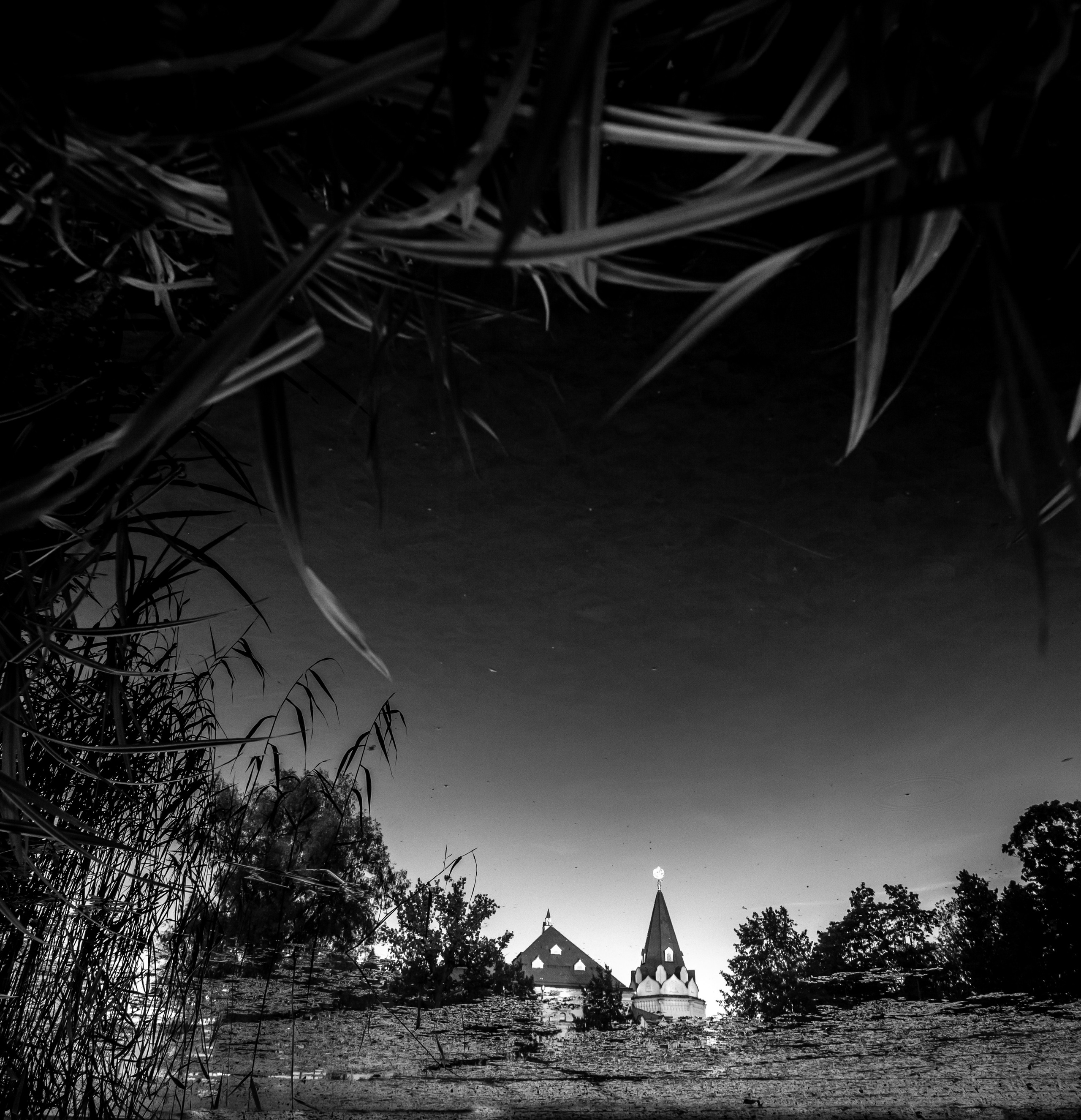 Георгий Тришаков