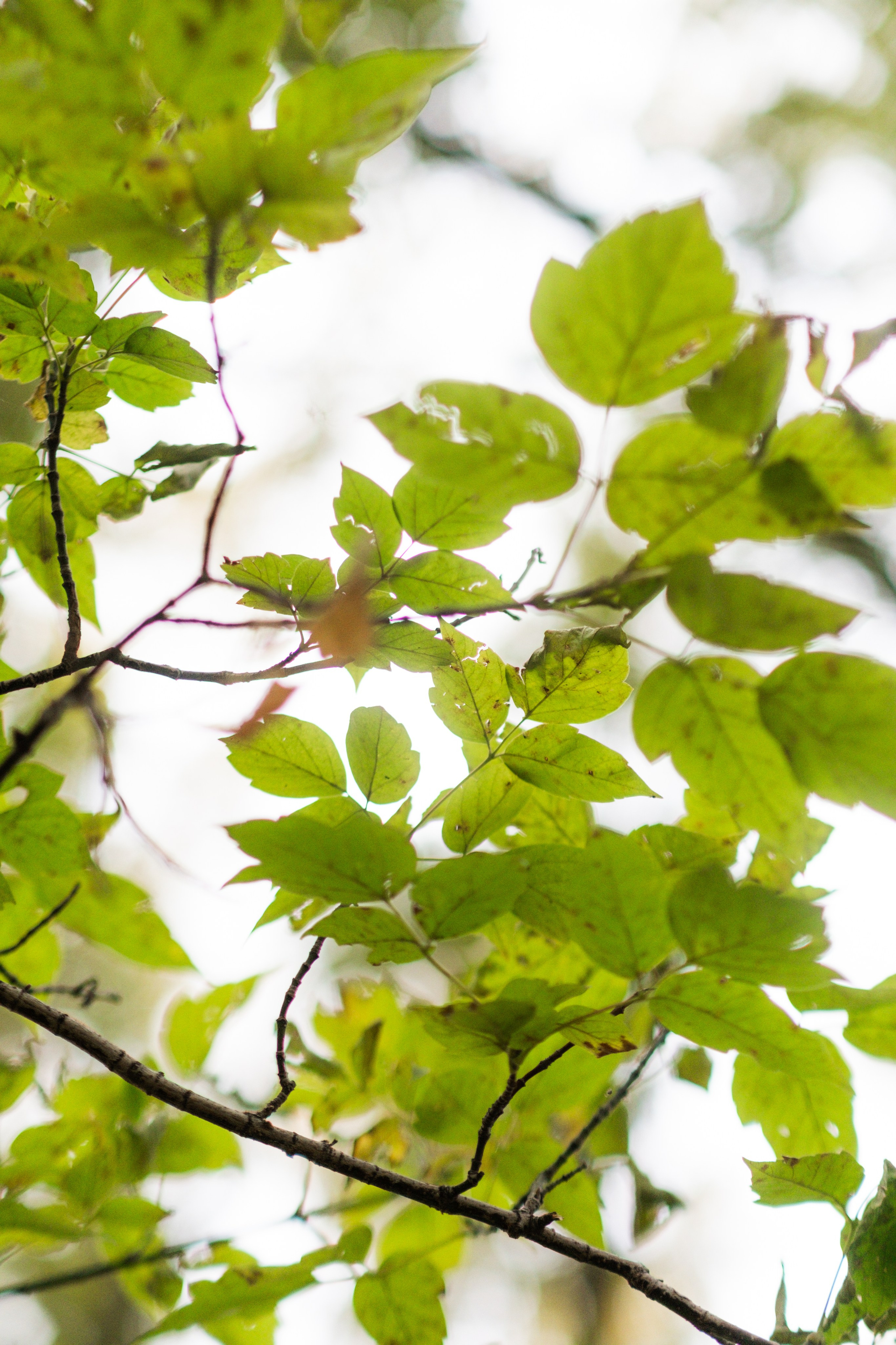 Арина на природе. Фотограф Коробова Екатерина