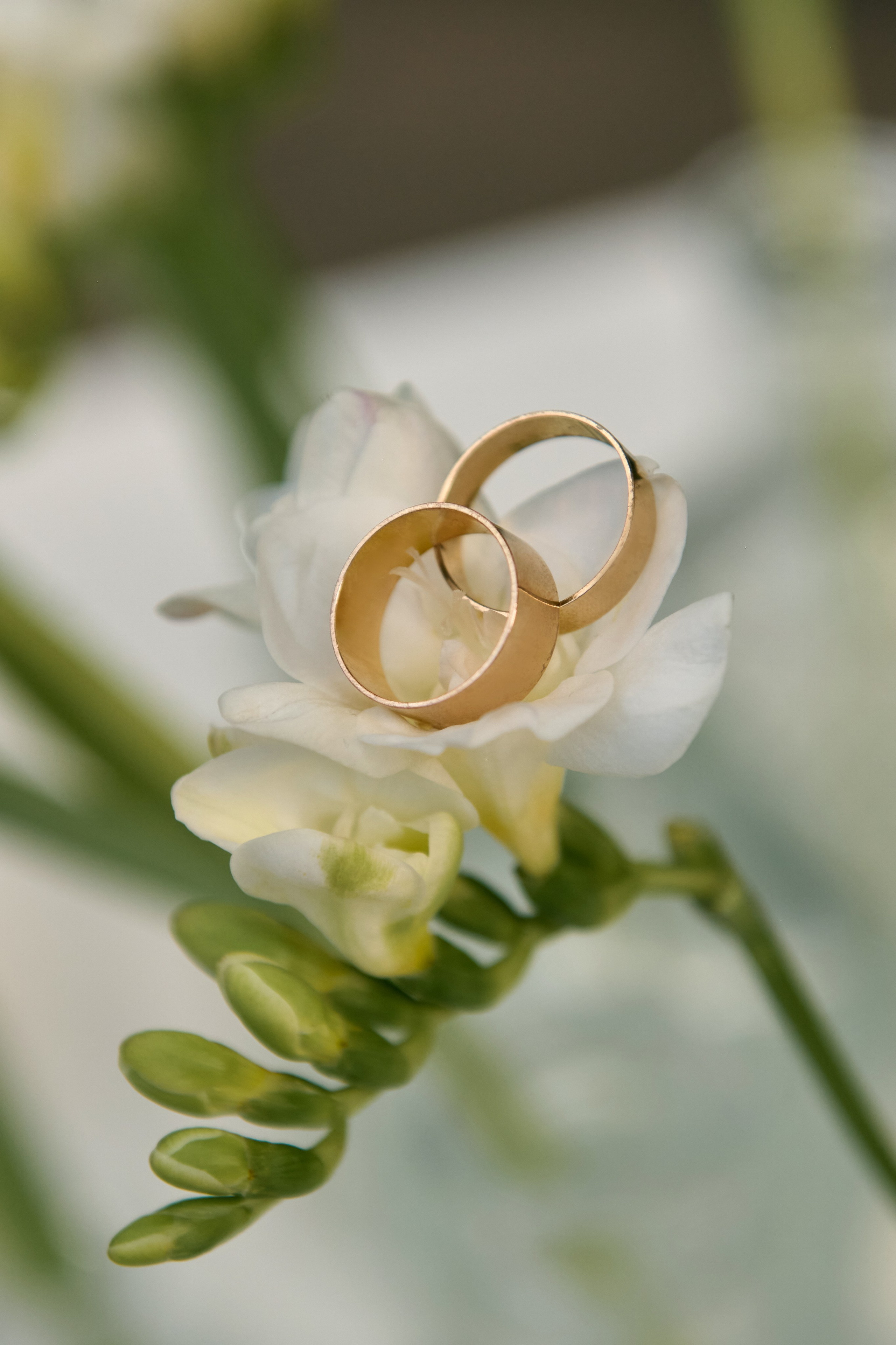 Виктория и Михаил. Фотограф Леонова Надежда