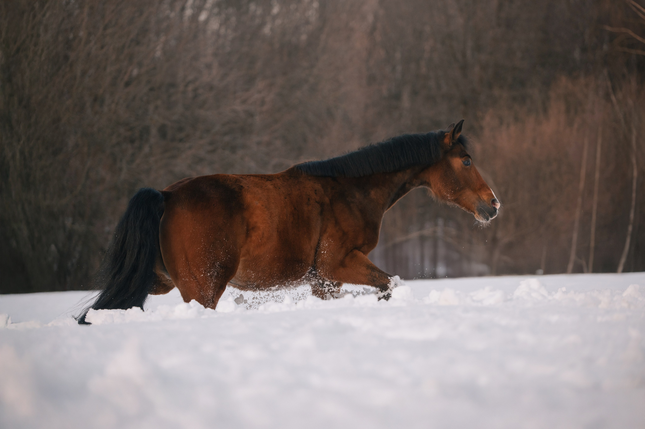 Кантри Клаб. Фотограф Анна Тюрина