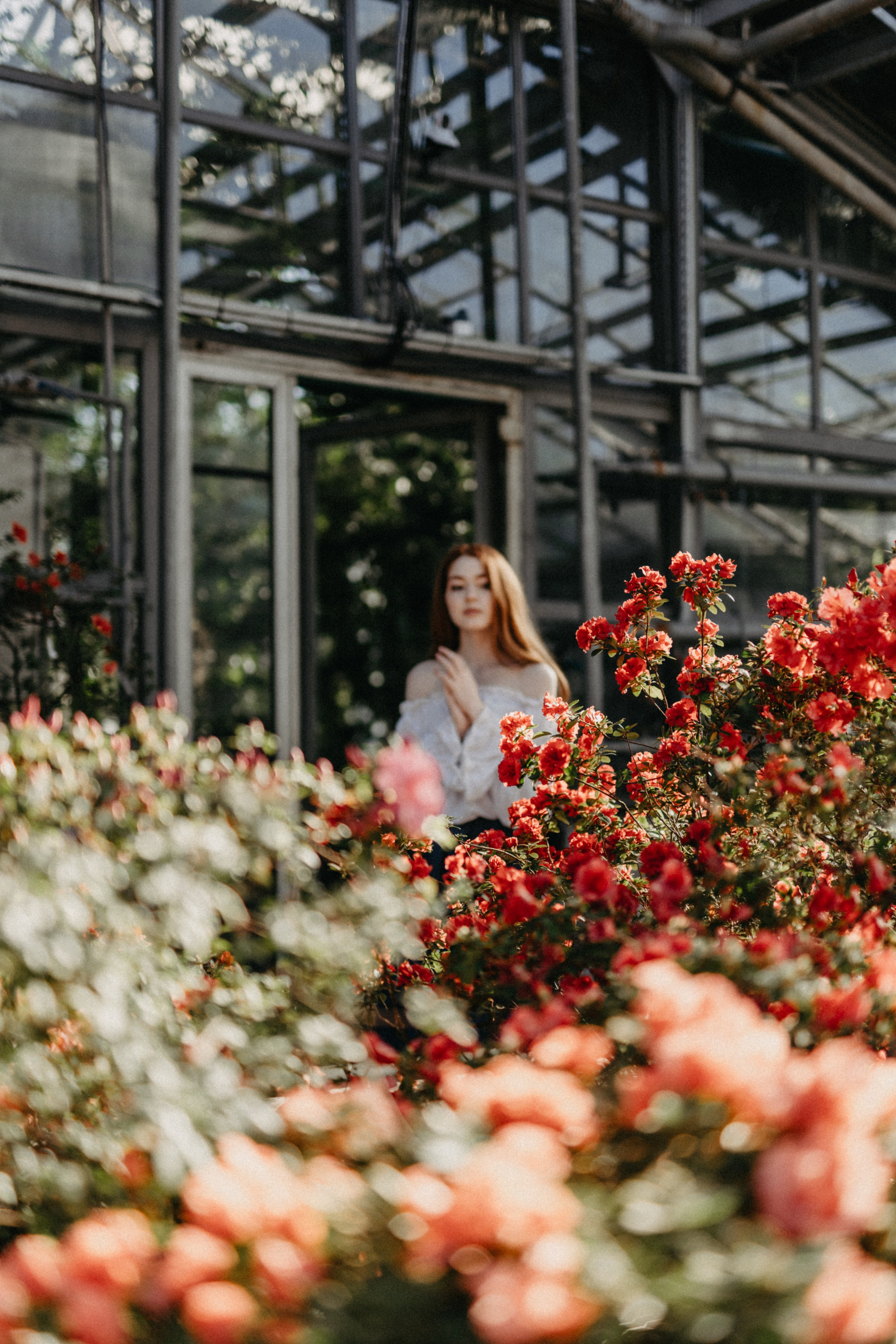 Там, где круглый год весна. Фотограф Наталья Колганова