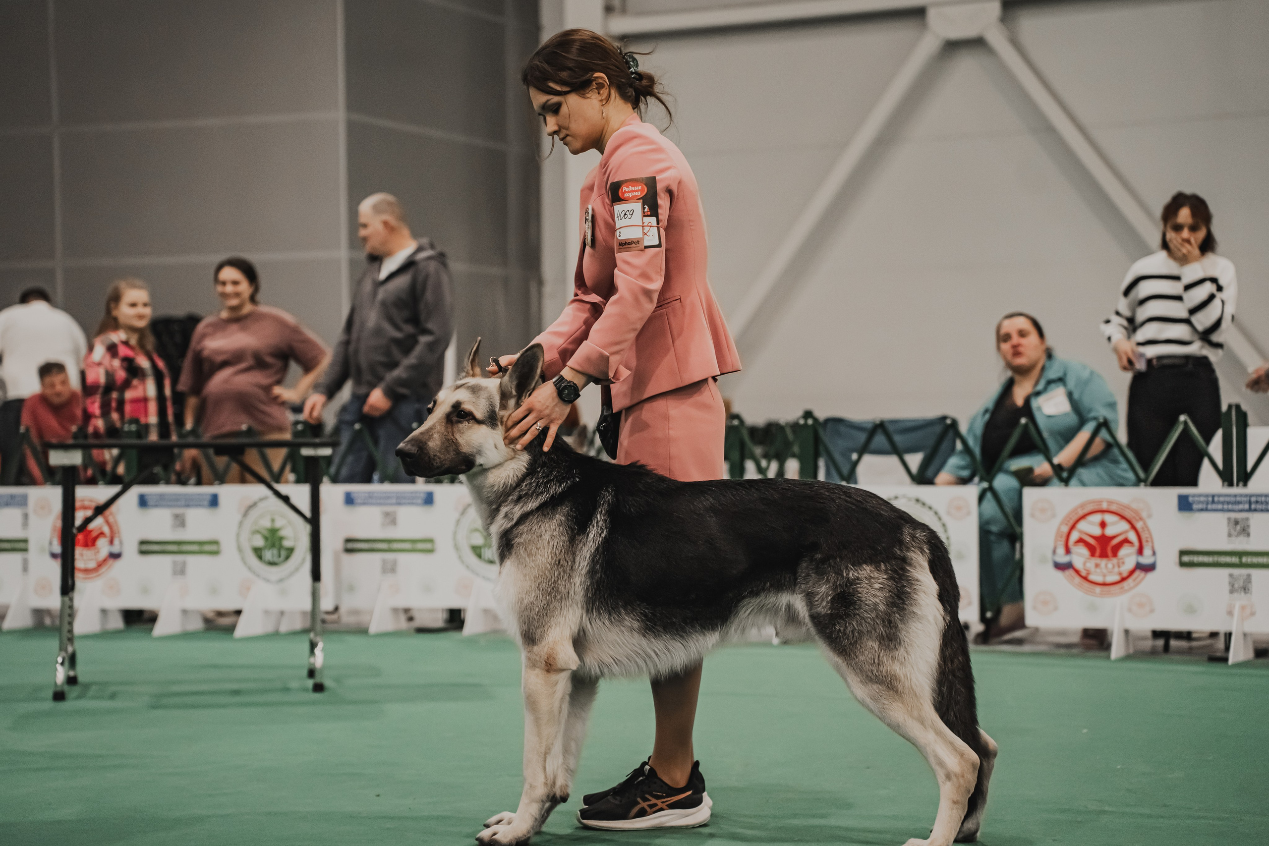 Международная выставка собак всех пород. Репортажный фотограф Анастасия Рубцова