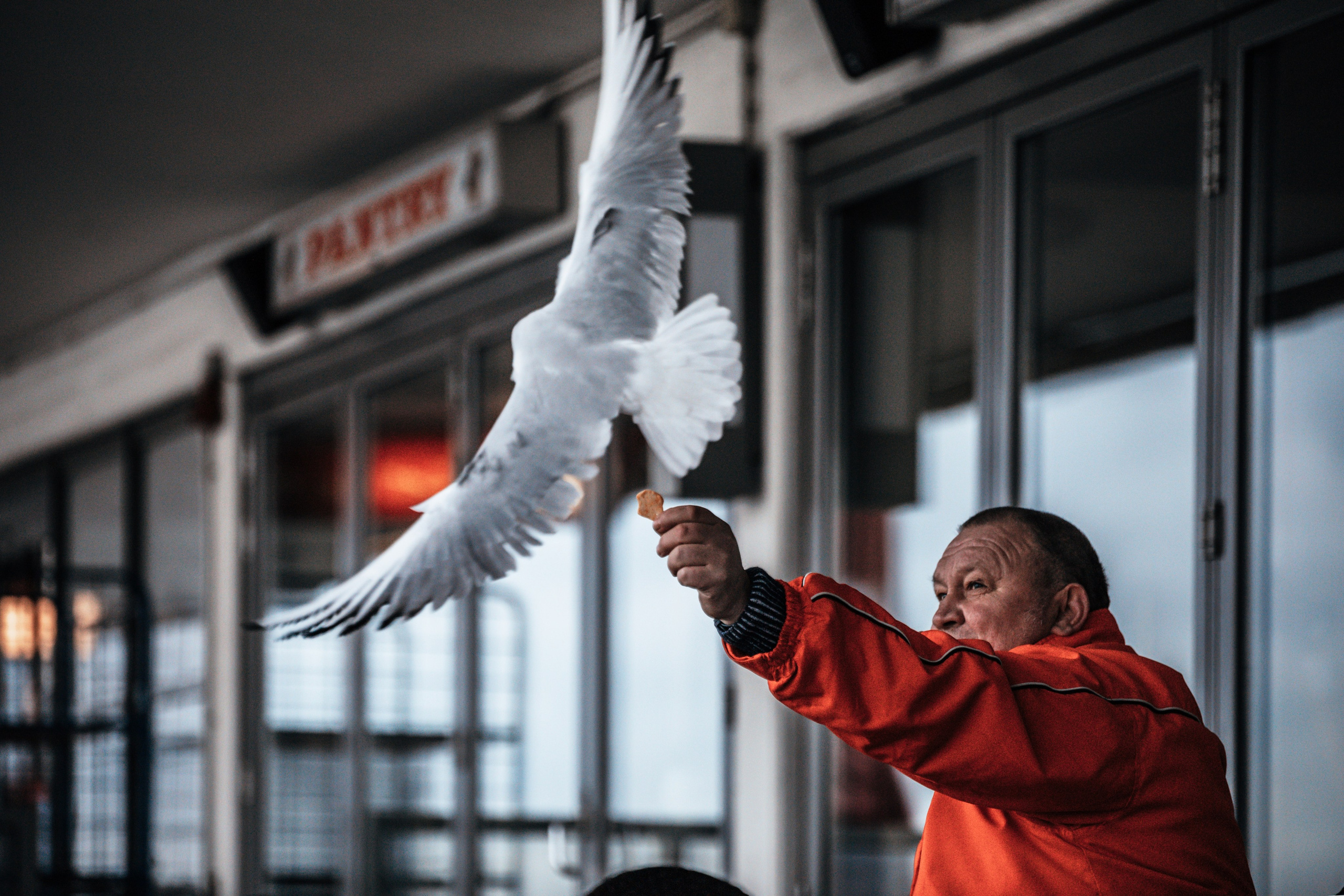 STREET. NE Cinema — backstage and reportage photography in cinema, music, Automotive and sport