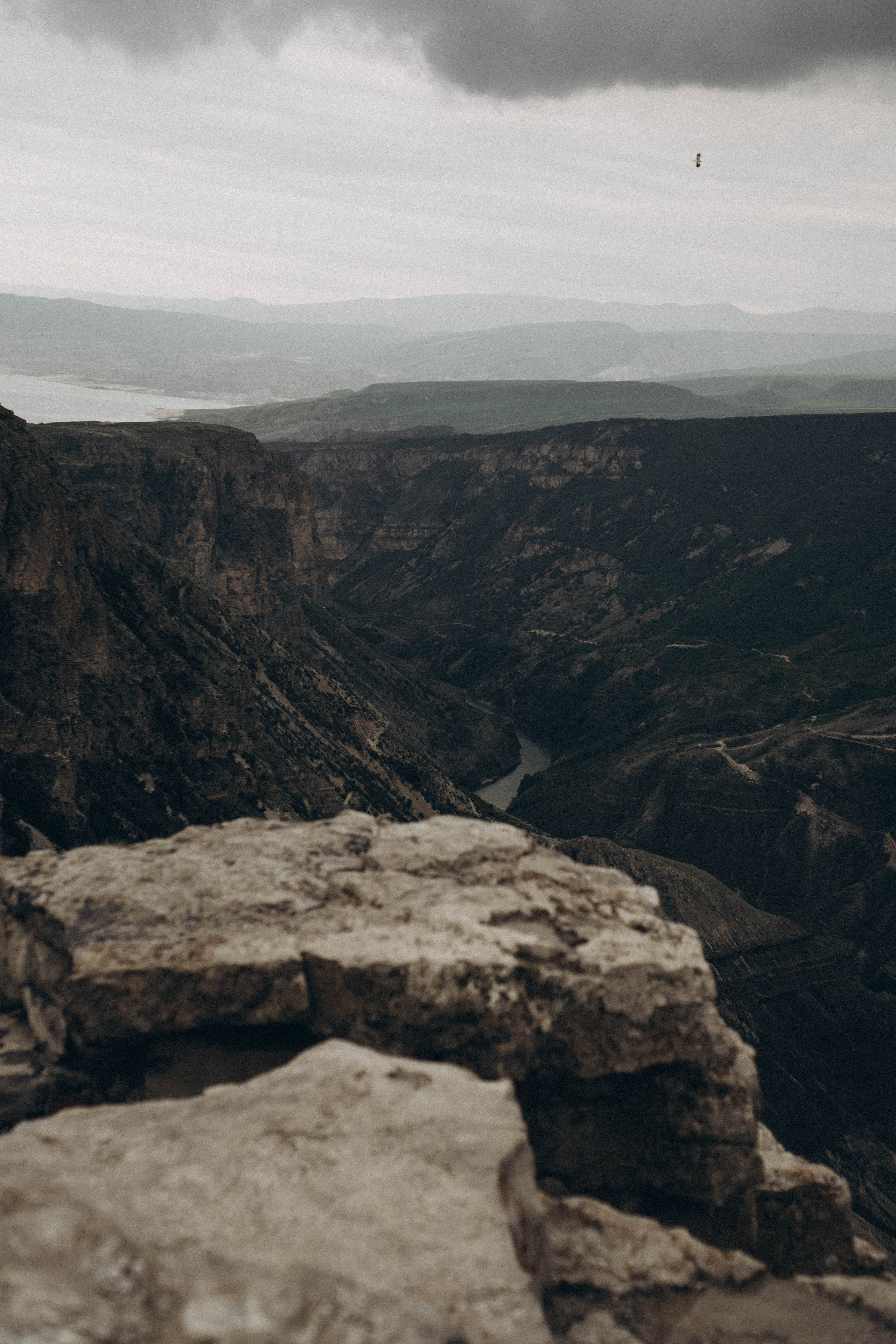Кавказ. Профессиональный фотограф, Санкт-Петербург — Виктория Богомолова
