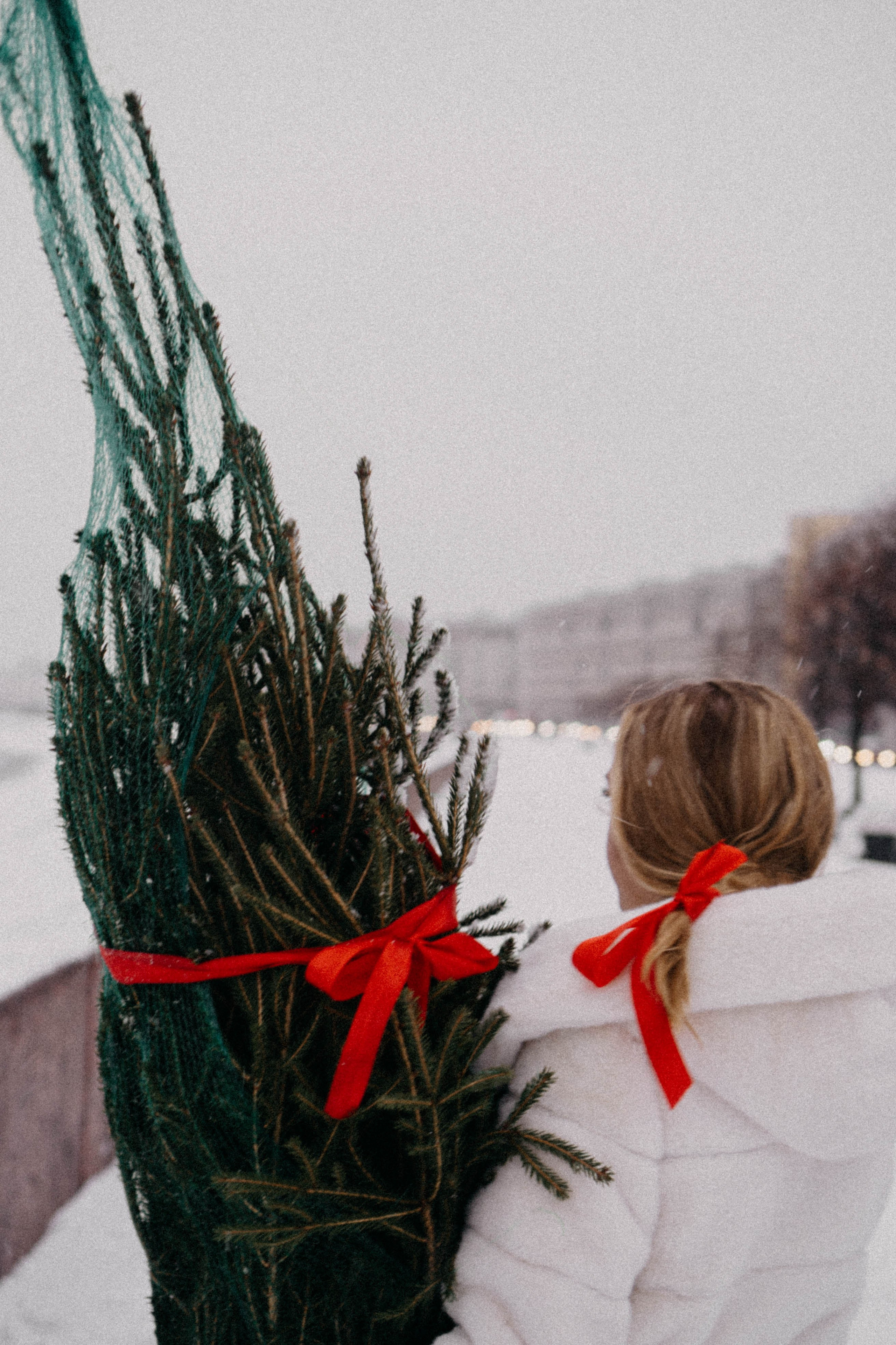Новогодняя. Профессиональный фотограф, Санкт-Петербург — Виктория Богомолова