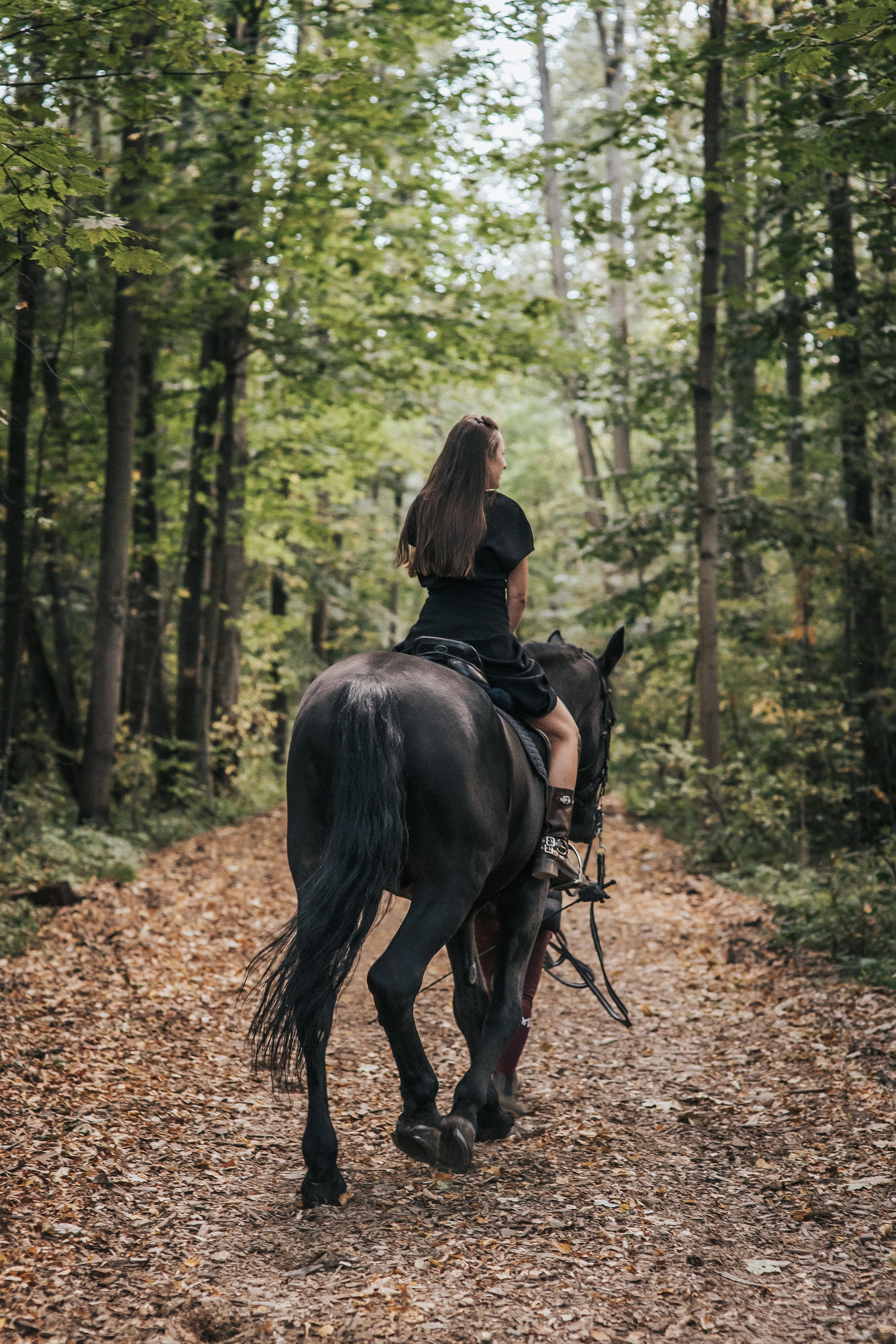 Большая семья и черный конь Султан. Семейный фотограф в Москве Наталья Чуб, заказать Фотокнигу