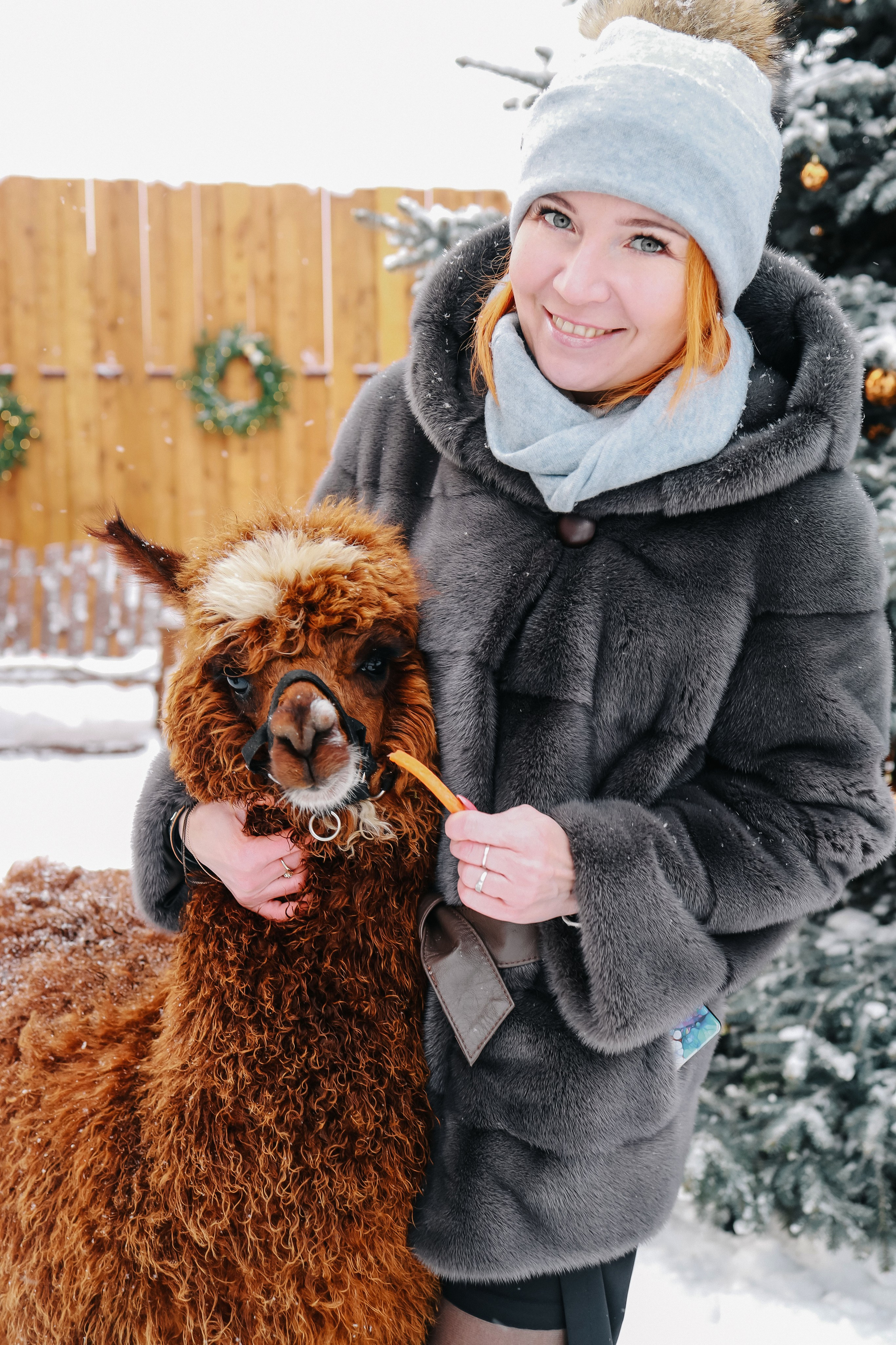 Семейная фотосессия с Альпакой. Иванова Ирина Свадебный и семейный фотограф г. Уфа
